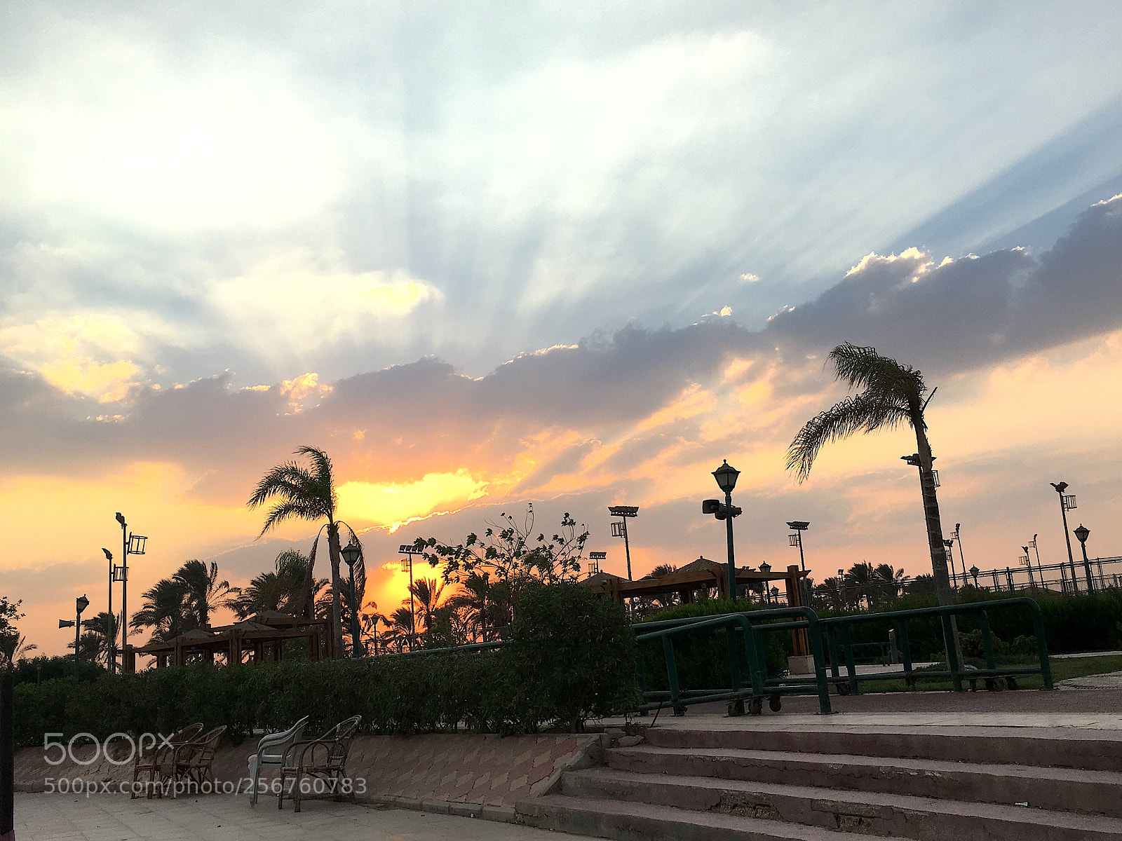 Apple iPhone 6s sample photo. Pm photography