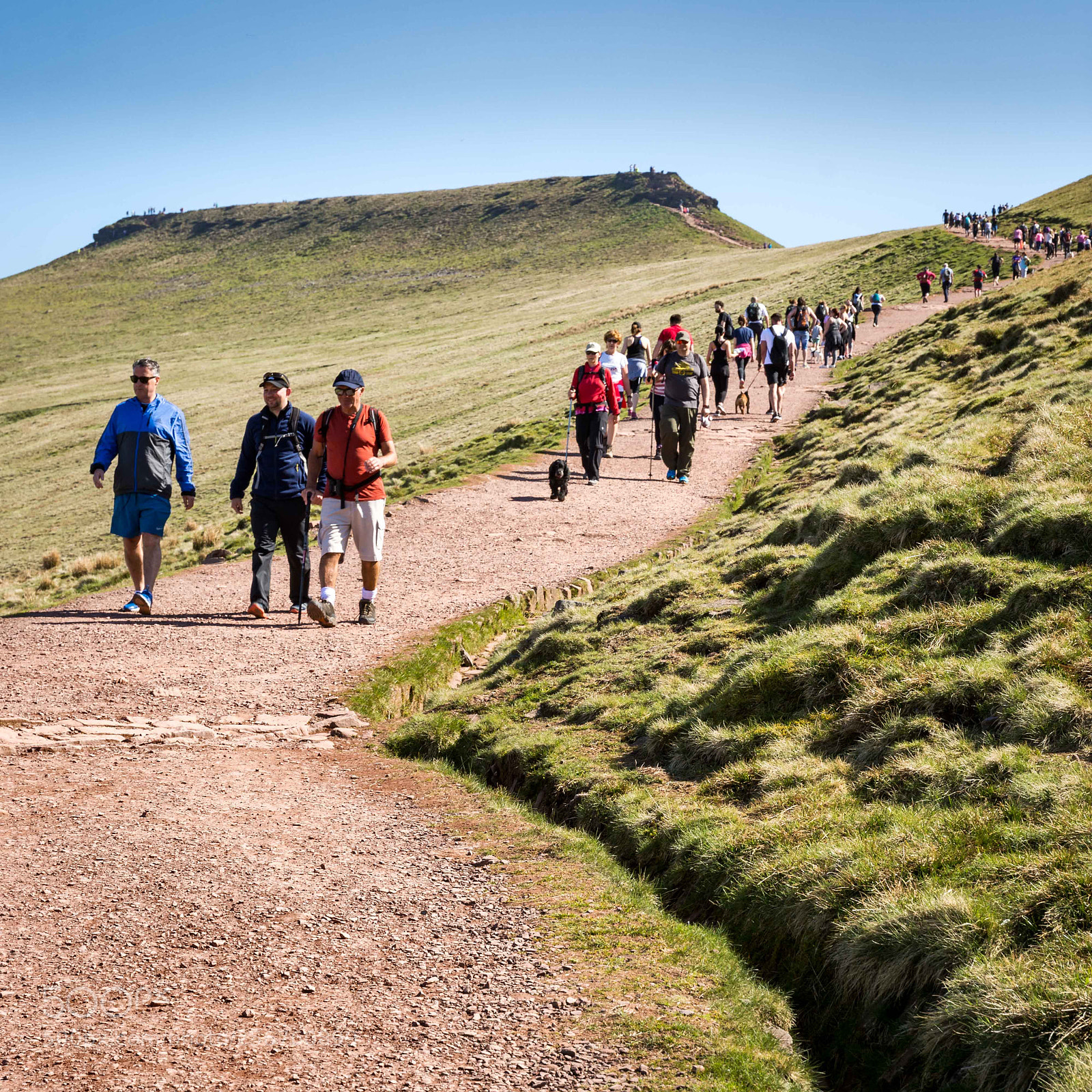Nikon D7200 sample photo. Road up pen y photography