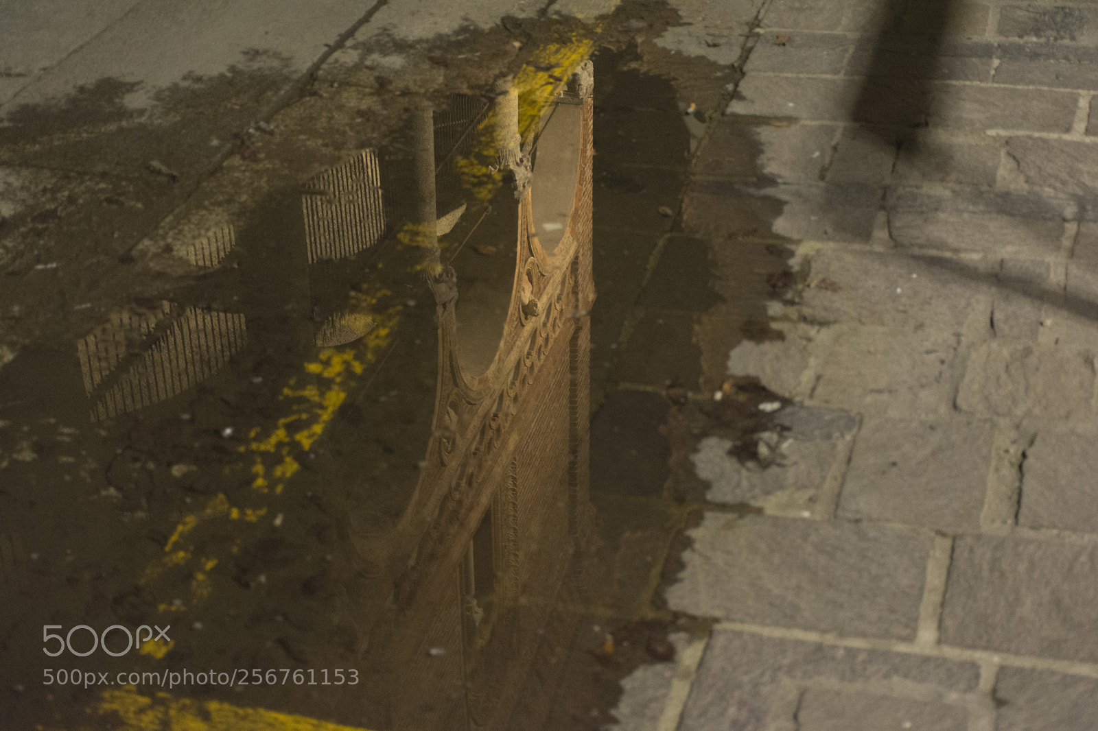 Nikon D7100 sample photo. After the rain photography