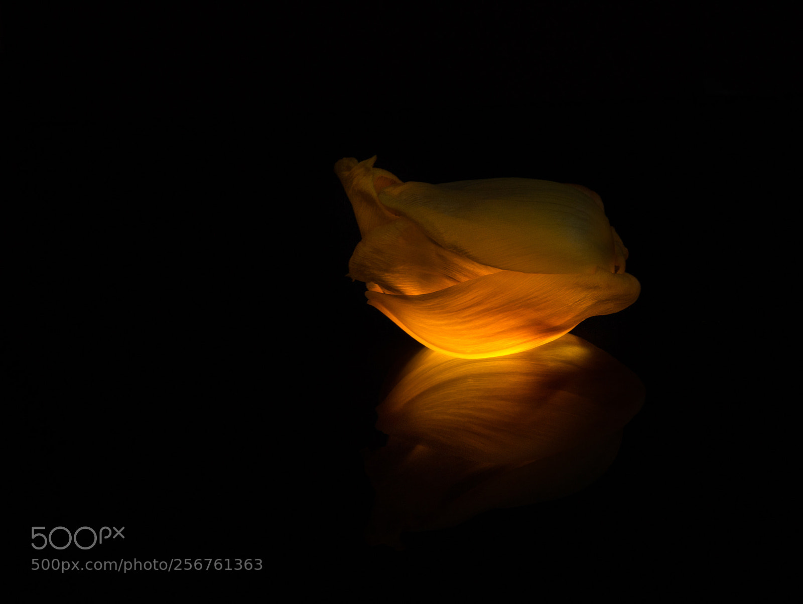 Canon EOS 6D sample photo. Little lantern. photography