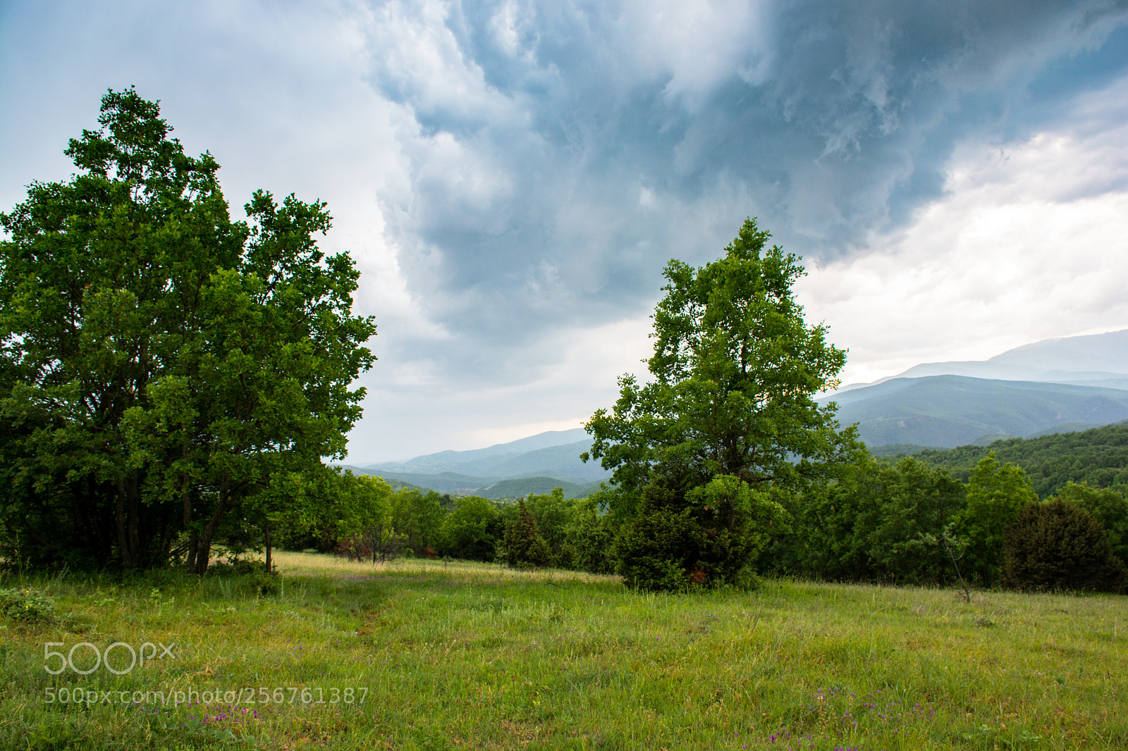 Nikon D5200 sample photo. The storm photography