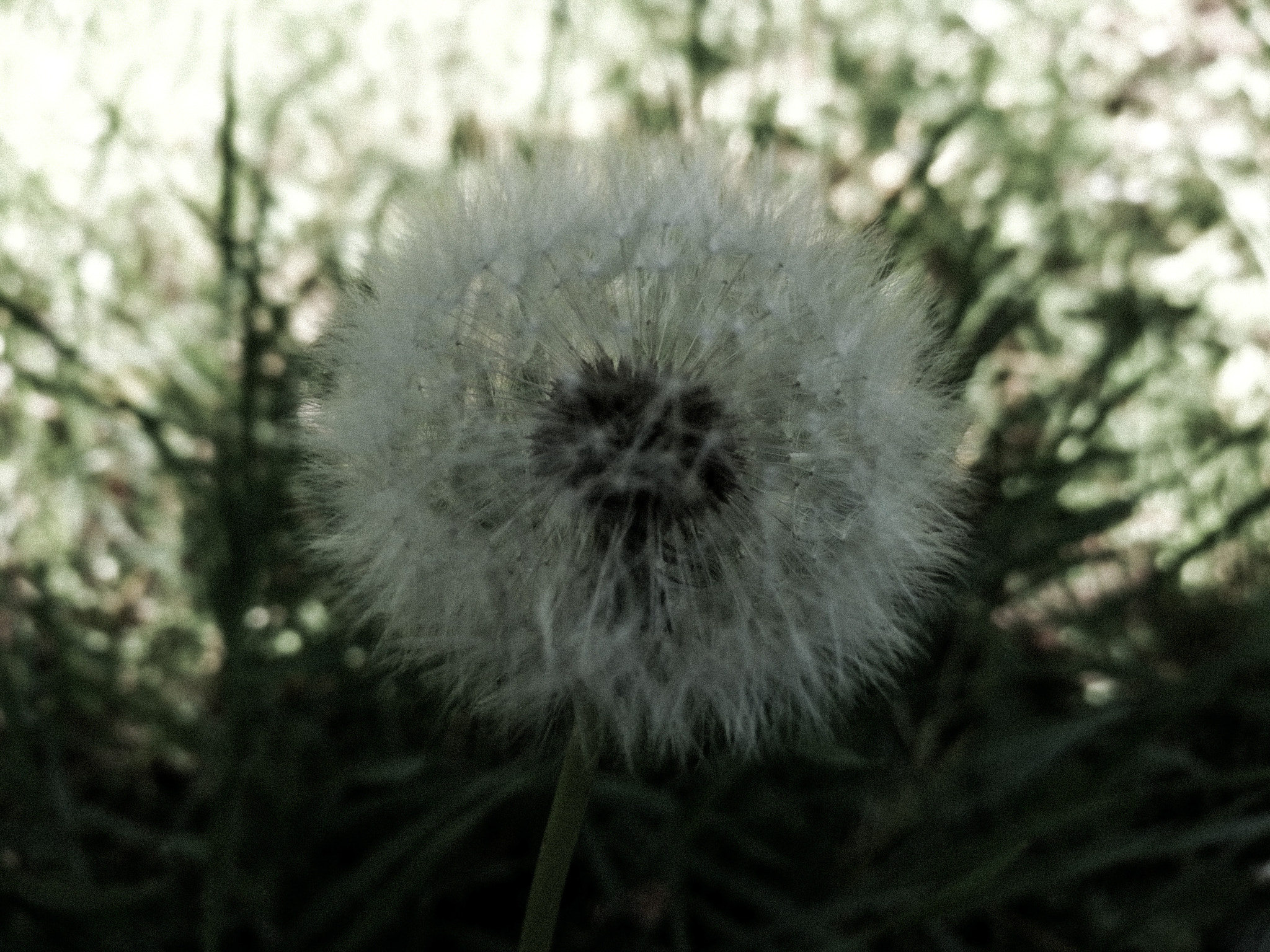 HUAWEI Honor 8 sample photo