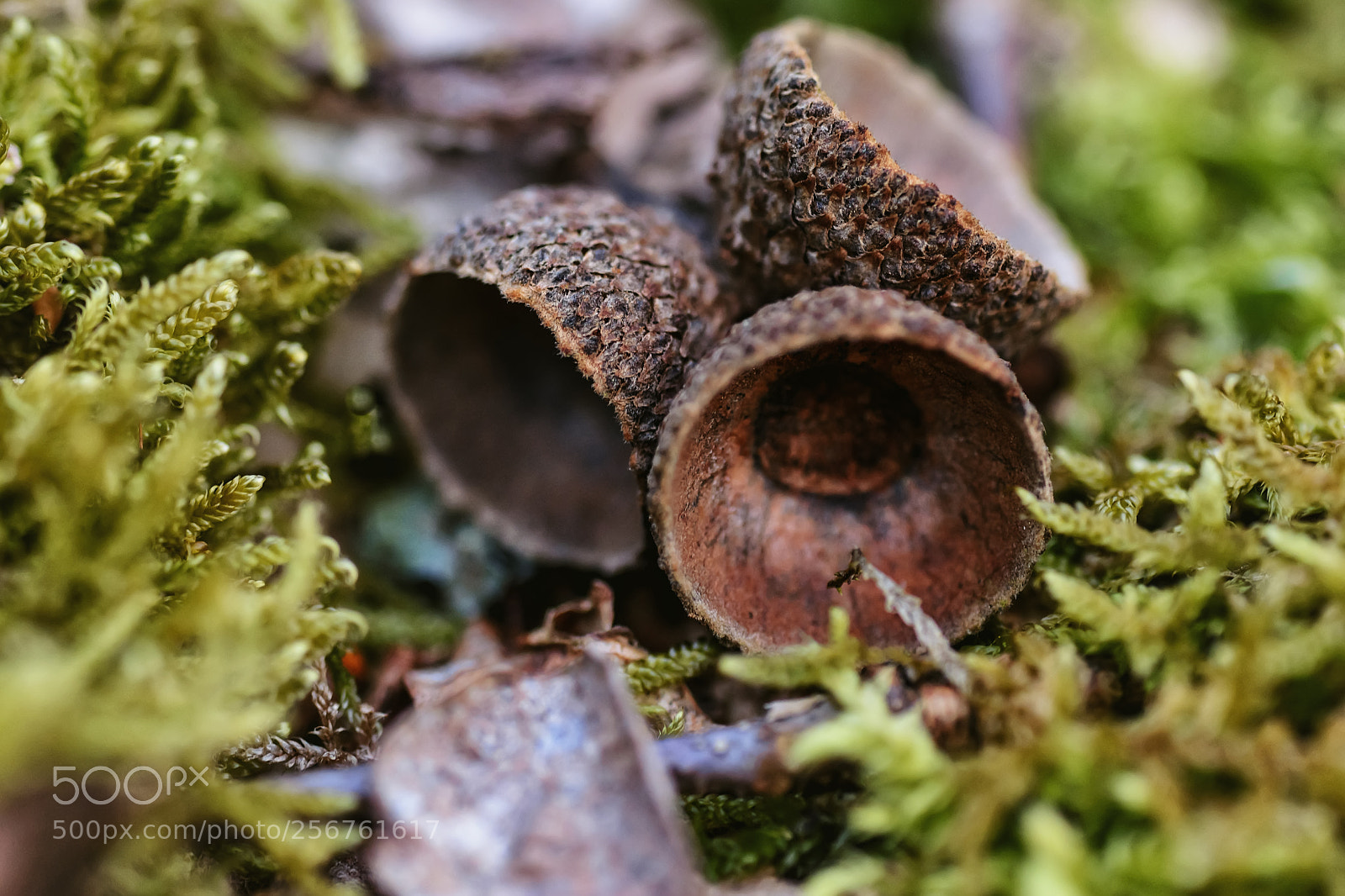 Nikon D5200 sample photo. Empty photography