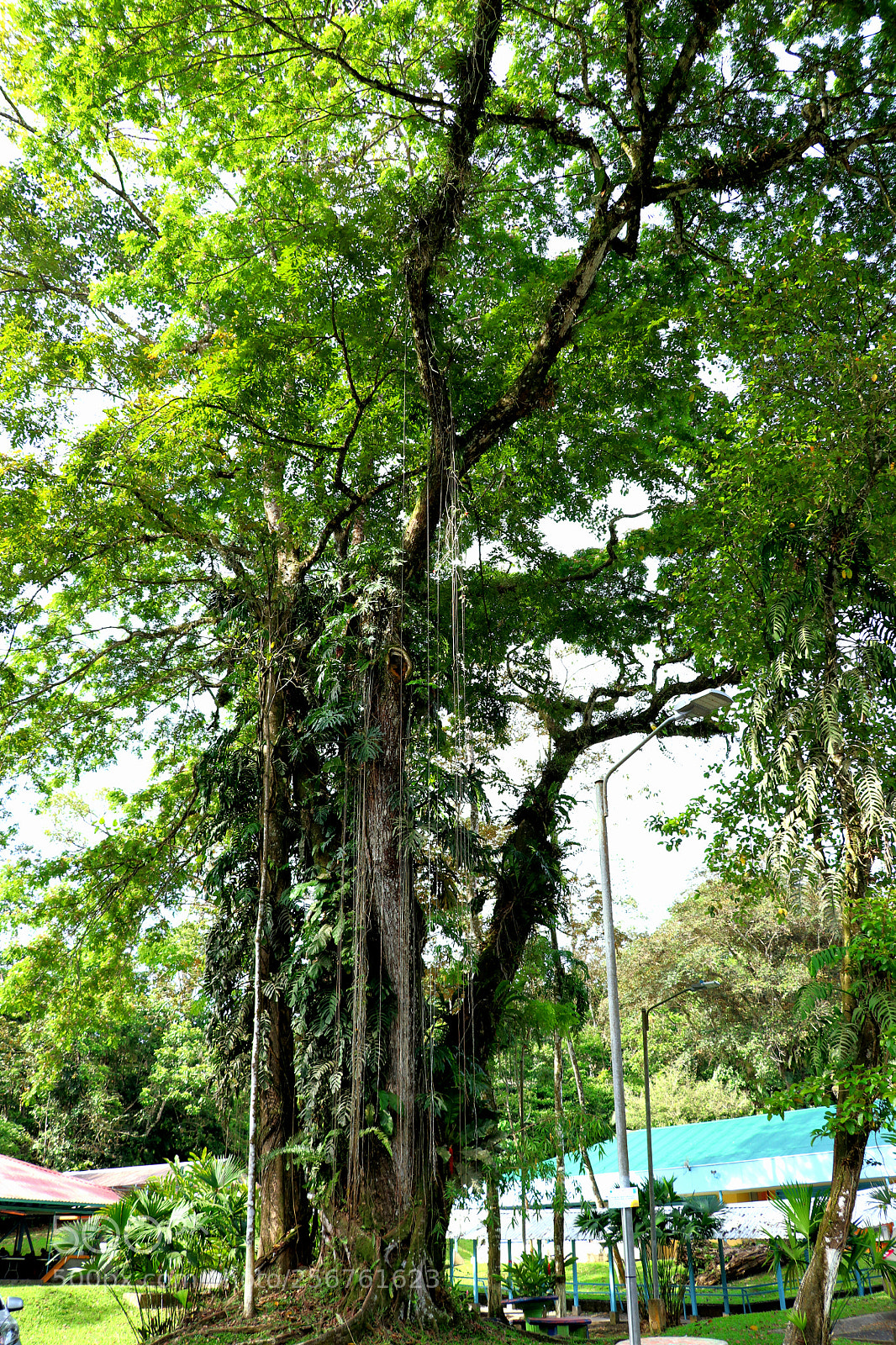 Canon EOS 80D sample photo. Cenízaro photography