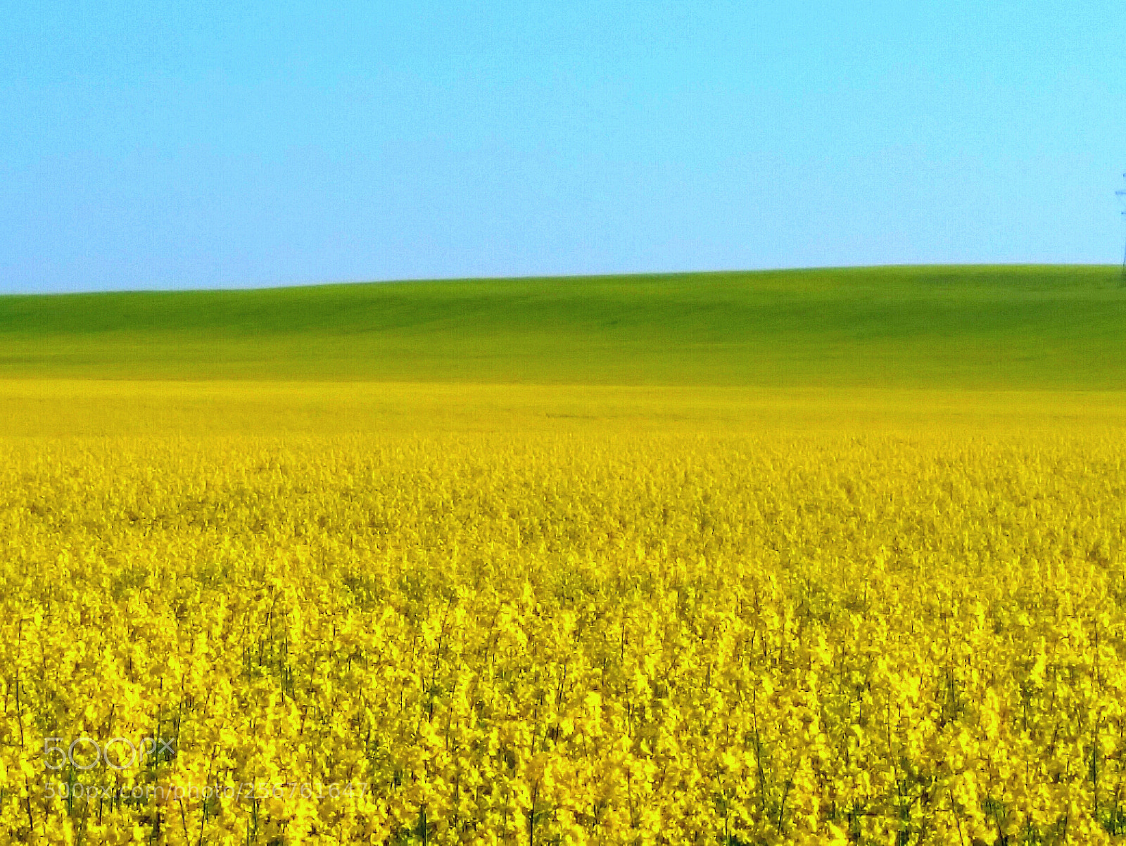Samsung Galaxy S5 sample photo. Spring windows photography