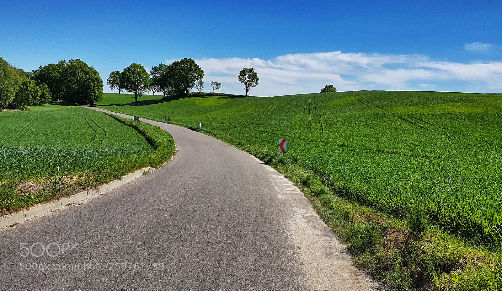 Samsung Galaxy S7 sample photo. Sunday bike ride photography