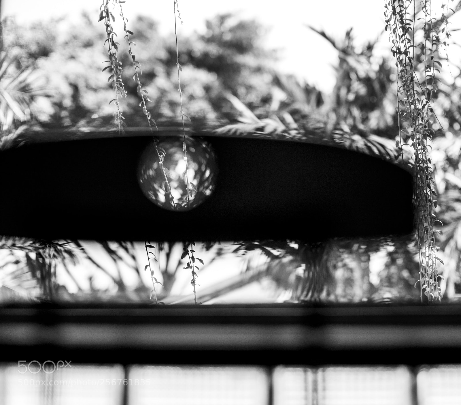 Leica M (Typ 240) sample photo. The eye of the photography