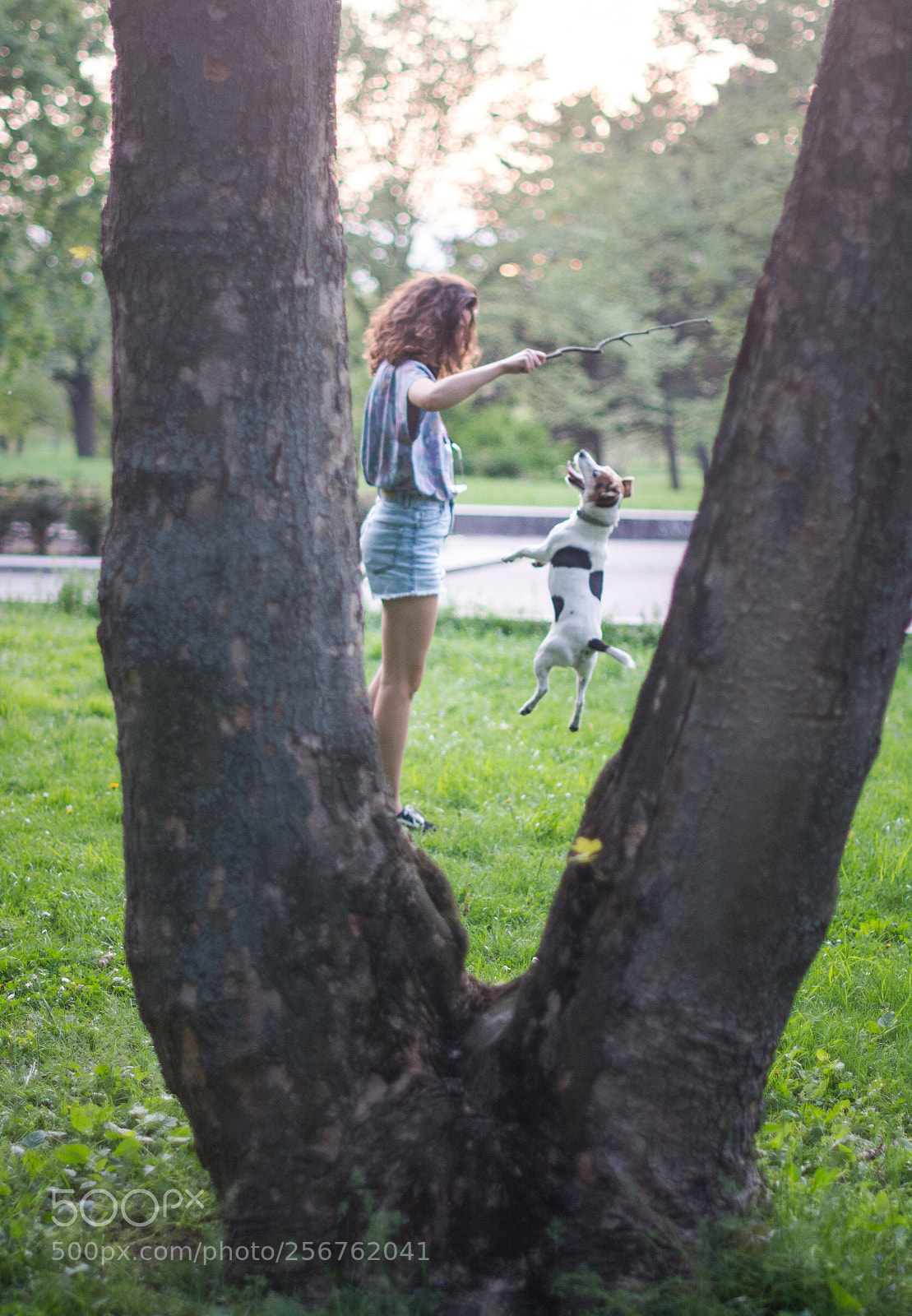 Nikon D7100 sample photo. Spy photography
