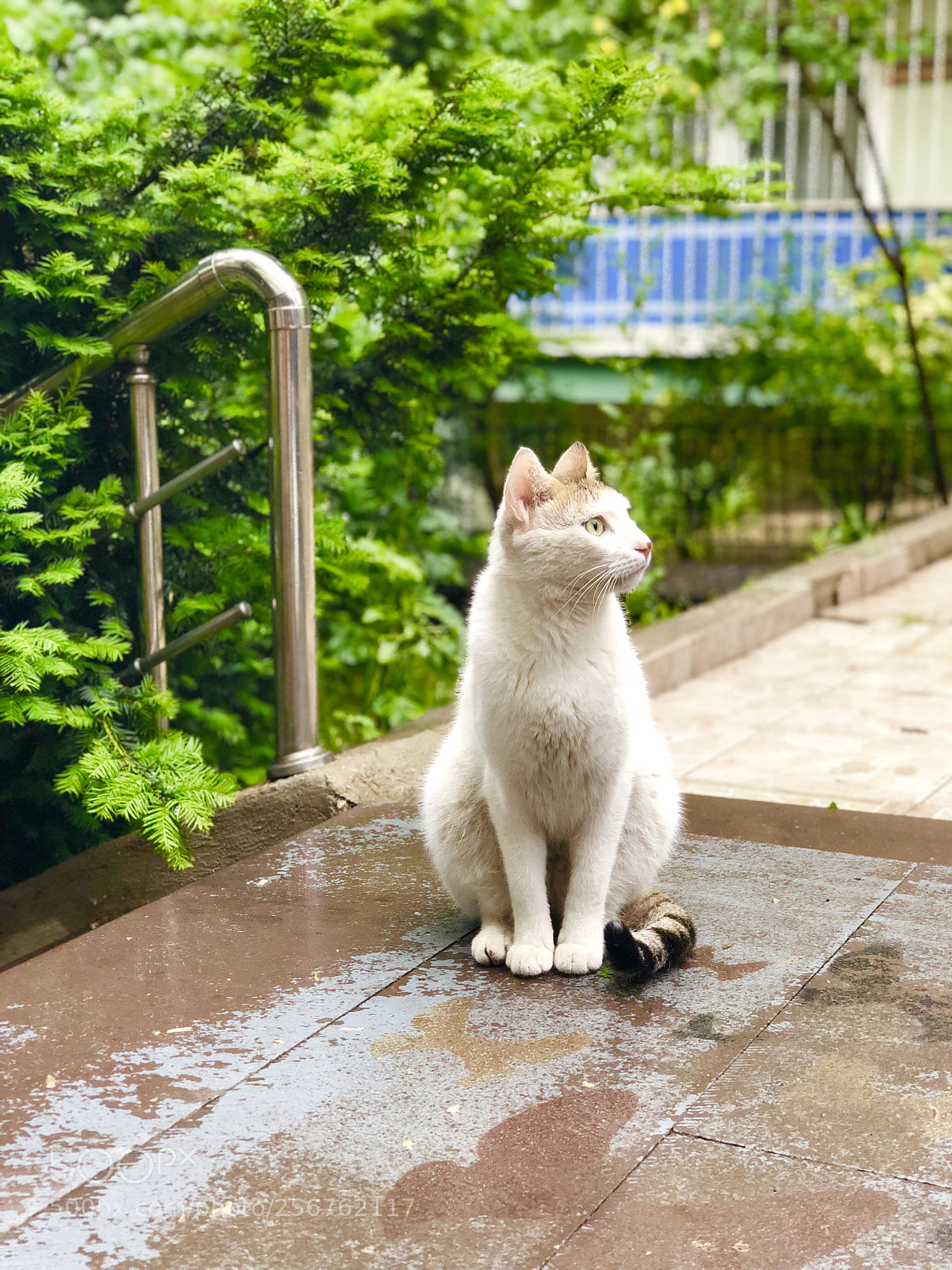 Apple iPhone X sample photo. Untitled photography