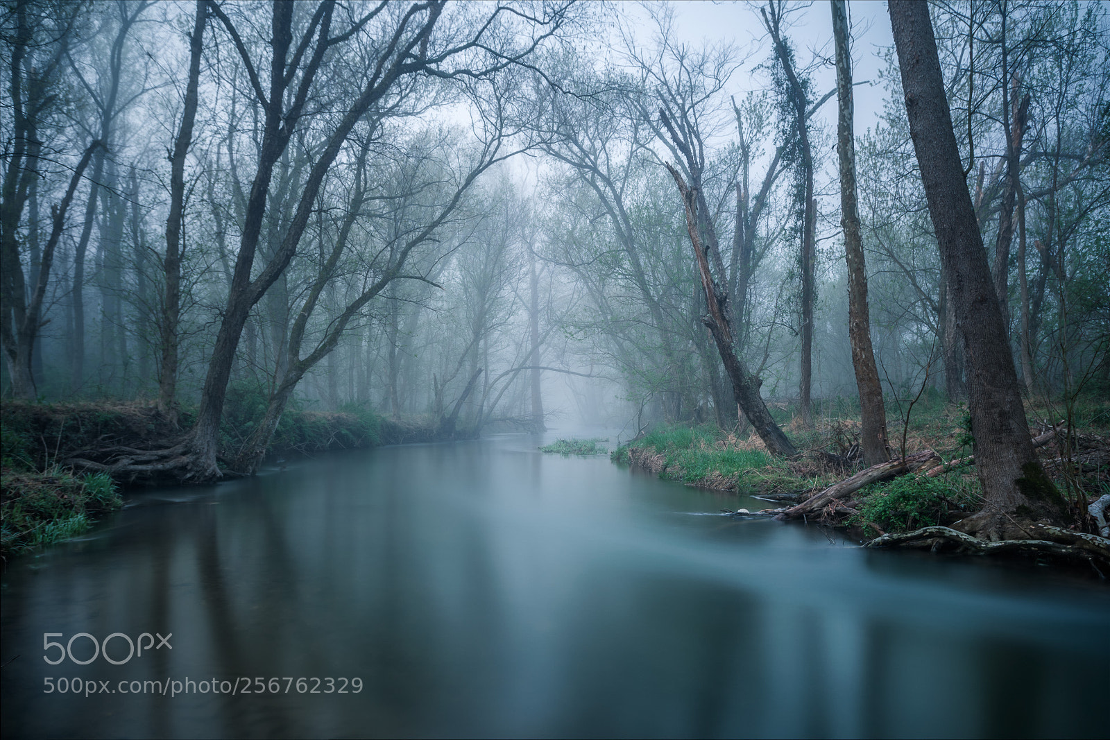 Canon EOS 5D Mark IV sample photo. Blue dream photography