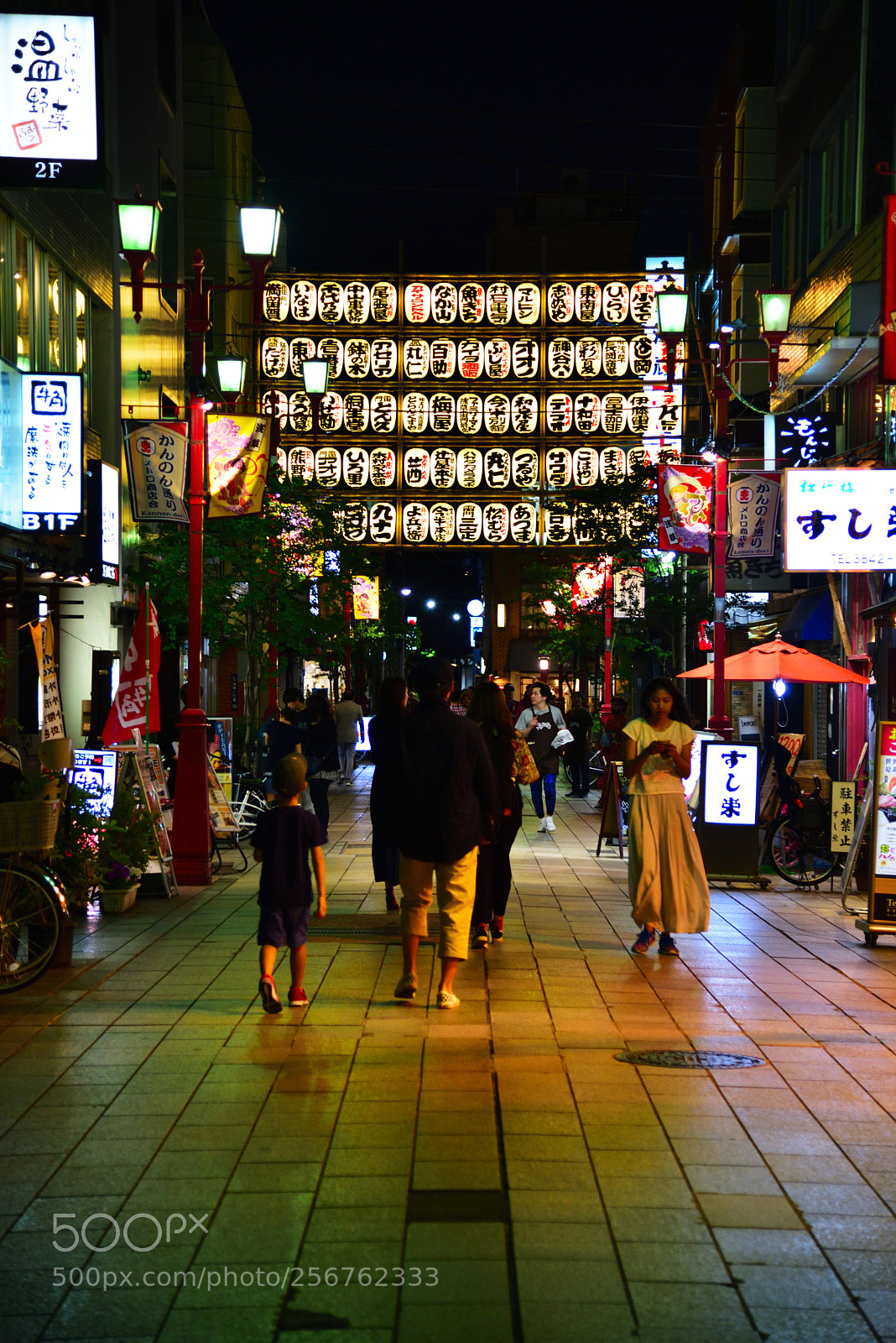 Nikon D750 sample photo. Asakusa city photography