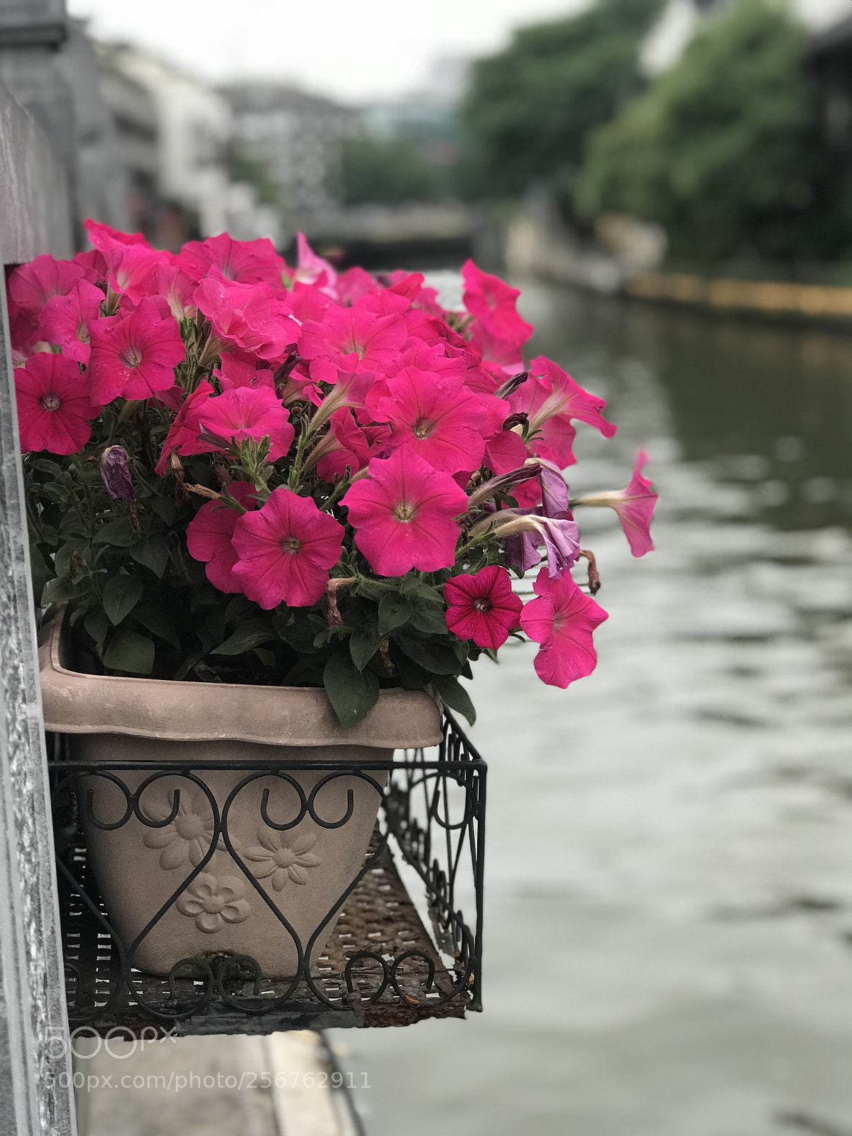 Apple iPhone 7 Plus sample photo. Untitled photography