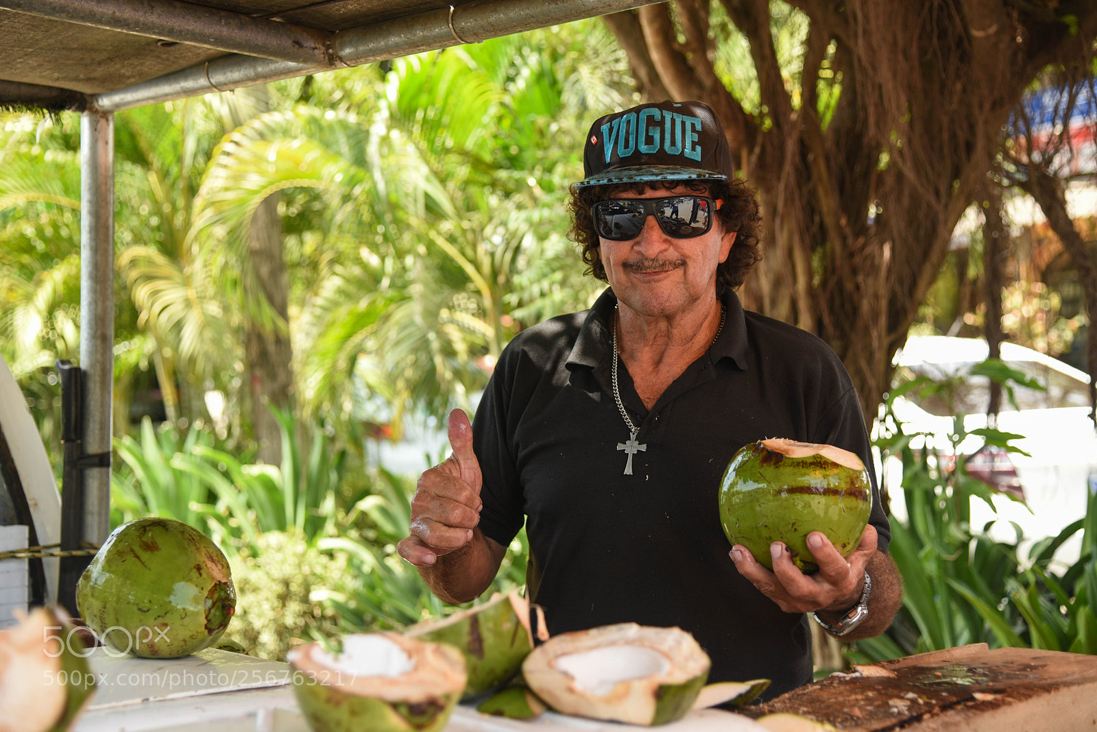 Nikon D750 sample photo. Coconut like photography