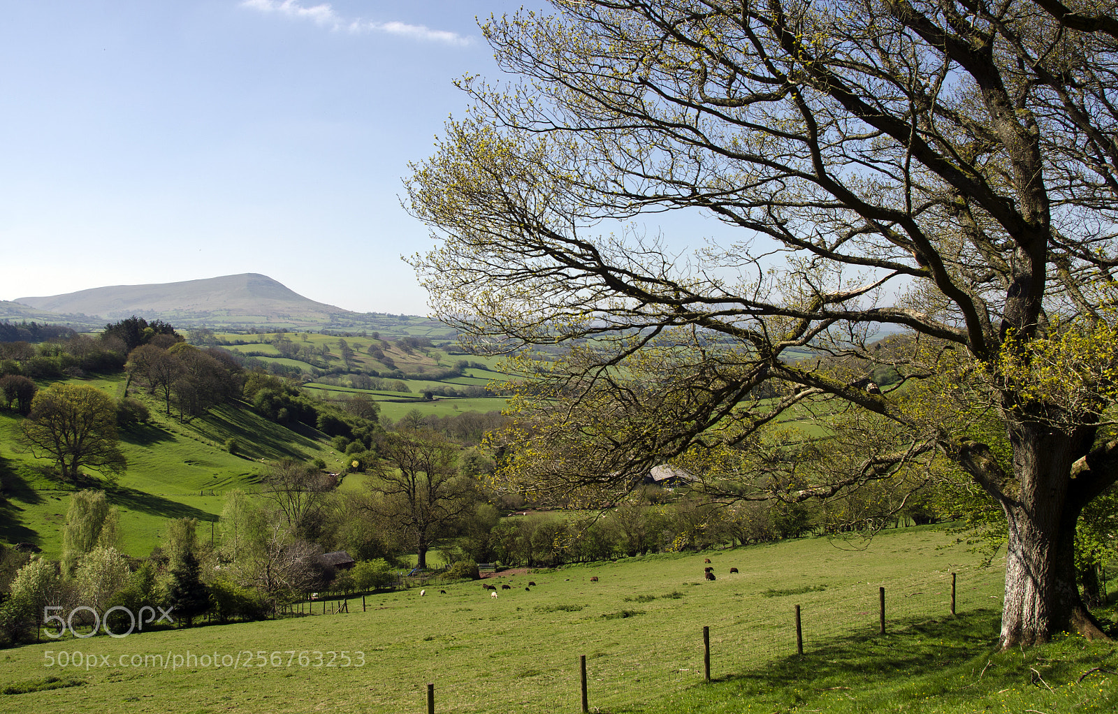 Nikon D7000 sample photo. Welsh walking... photography