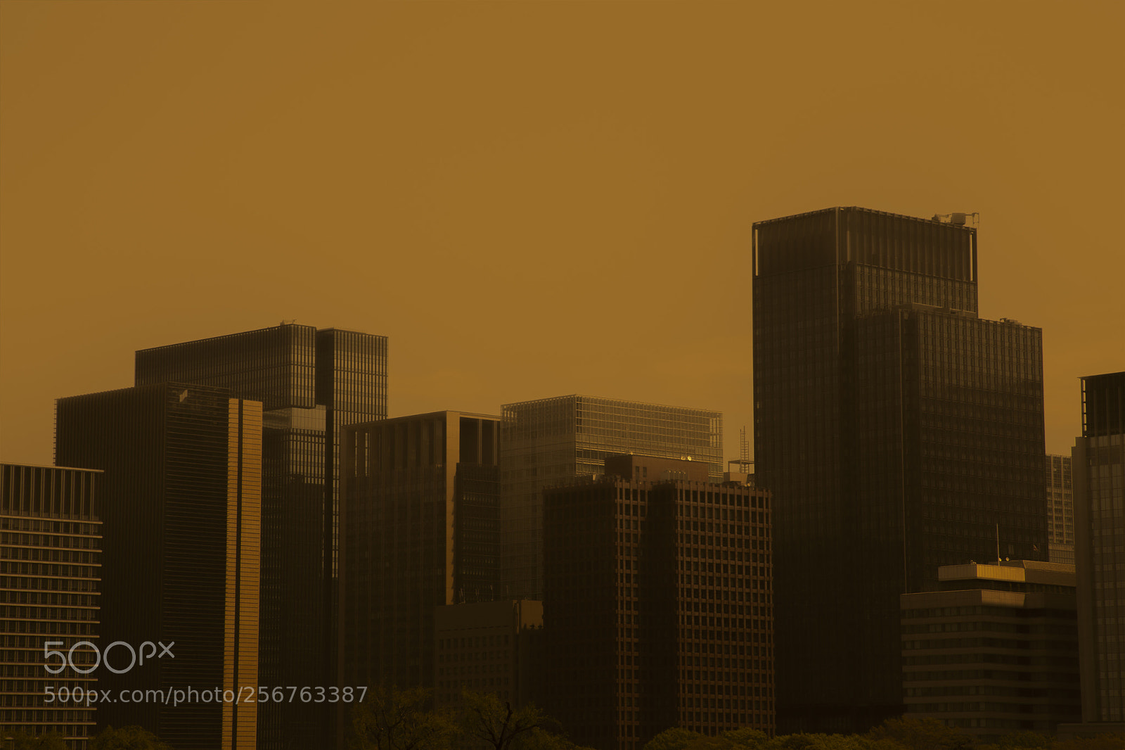 Canon EOS 5D Mark IV sample photo. Tokyo 2048 photography