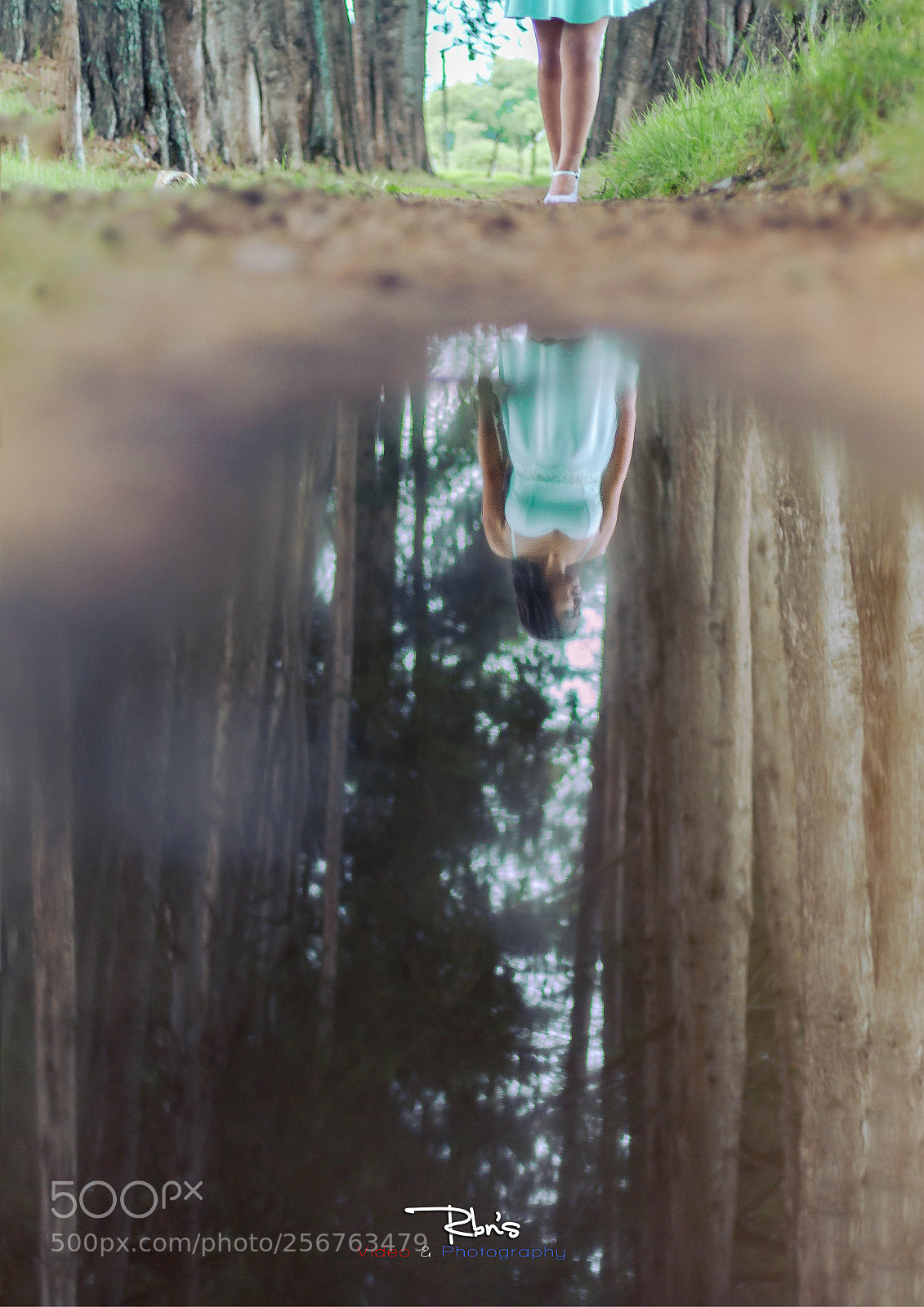 Canon EOS 7D sample photo. Entre reflejos y rboloes photography