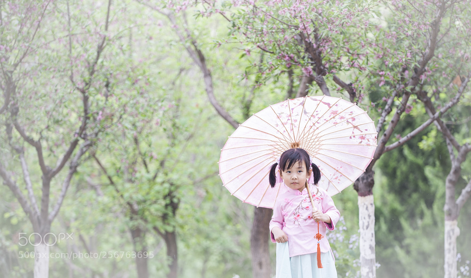 Nikon D700 sample photo. Untitled photography