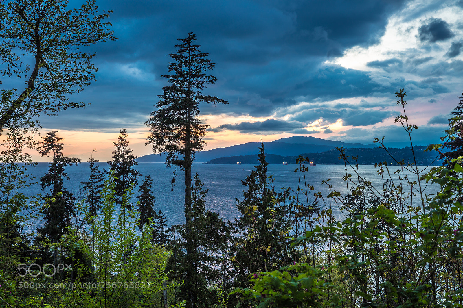 Canon EOS 5DS R sample photo. Stanley park sunset photography