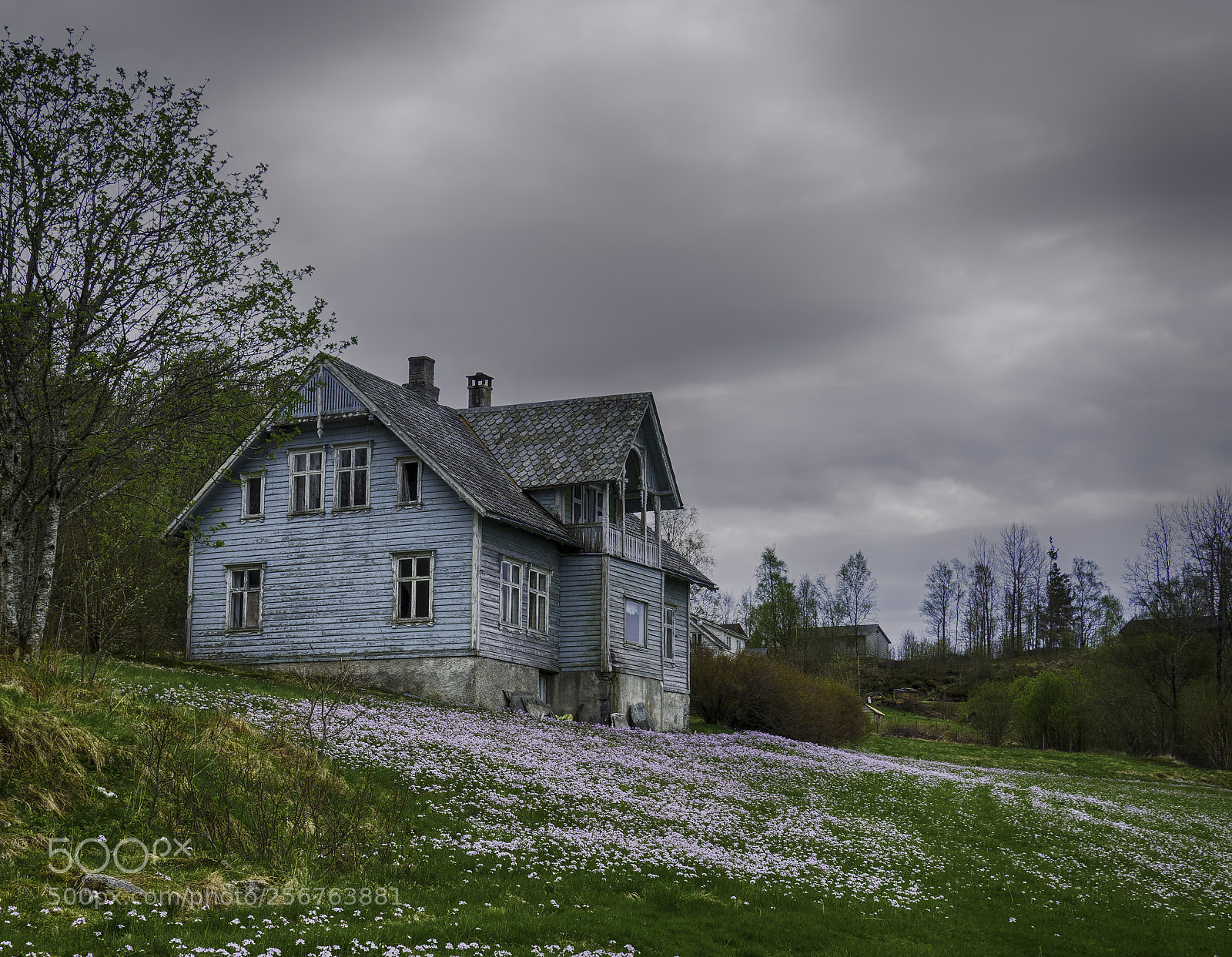Olympus OM-D E-M10 sample photo. Abandoned photography