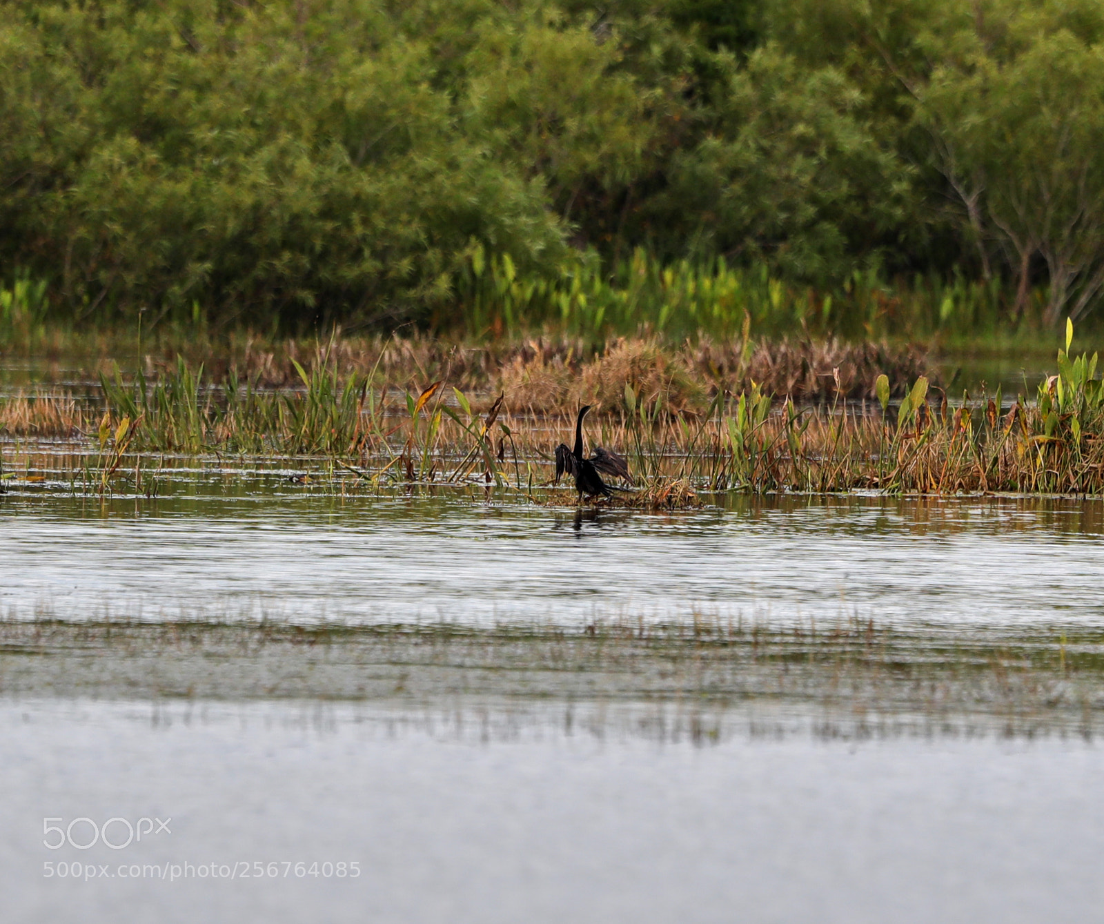Canon EOS-1D X Mark II sample photo. 05-06-18-0016495.jpg photography