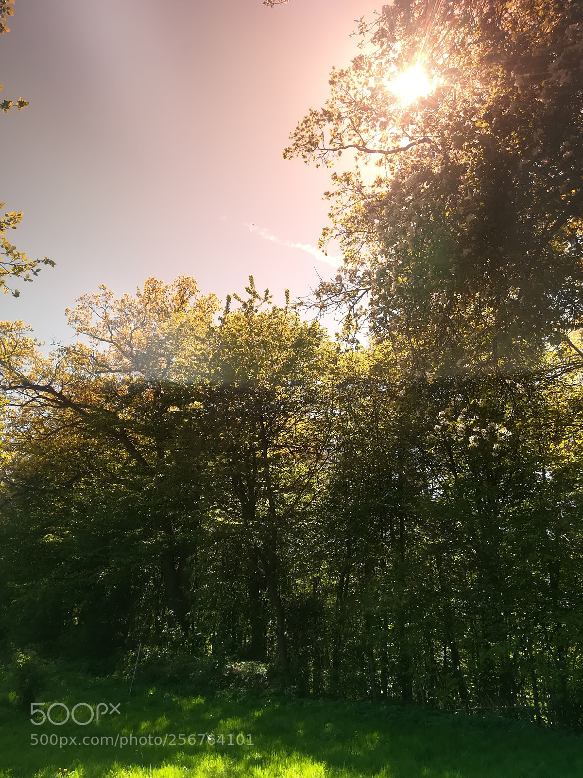 HUAWEI P10 lite sample photo. Huawei p10 lite photography