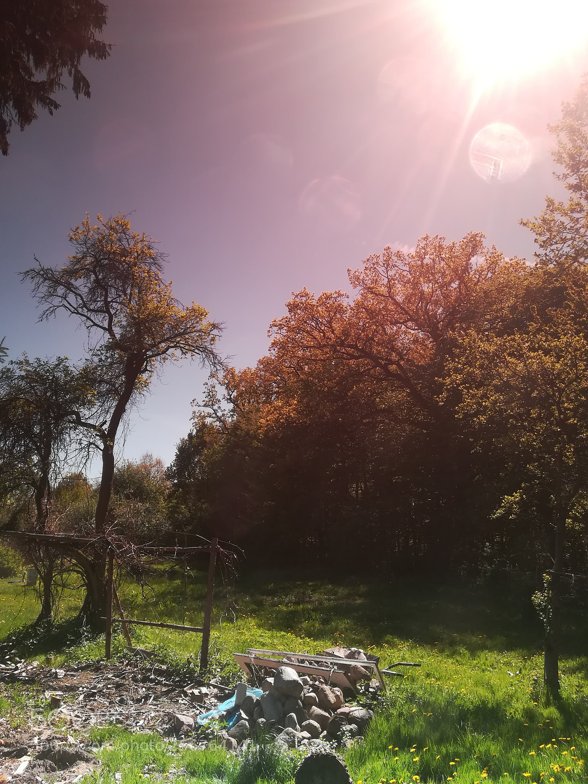 HUAWEI P10 lite sample photo. Huawei p10 lite photography
