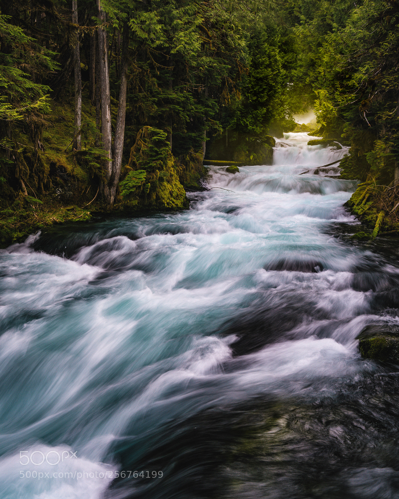 Sony a7R II sample photo. The mckenzie photography