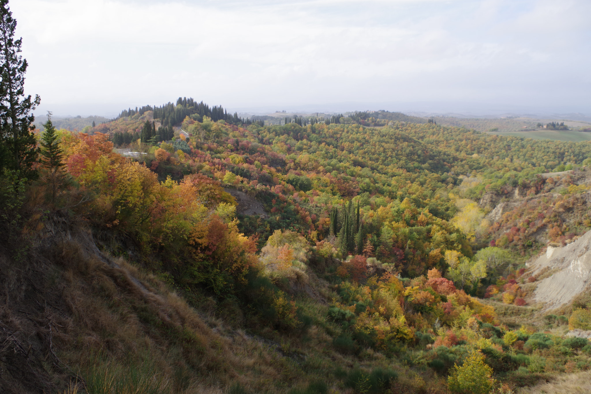 Pentax K-70 sample photo. Autumn in tuscany photography