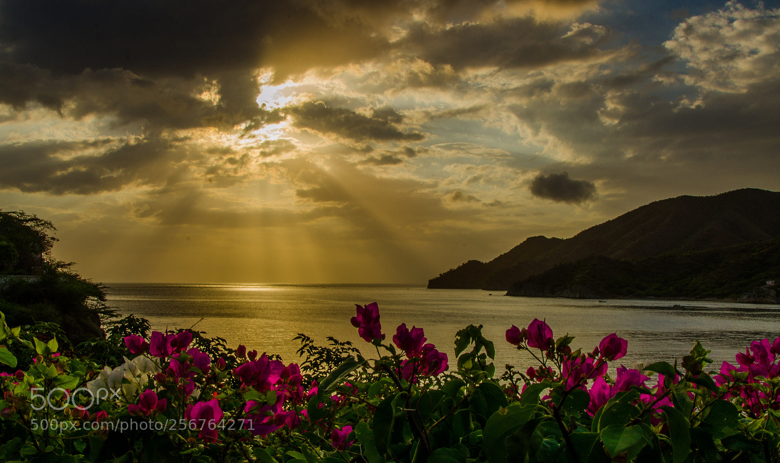 Nikon D7000 sample photo. Taganga photography