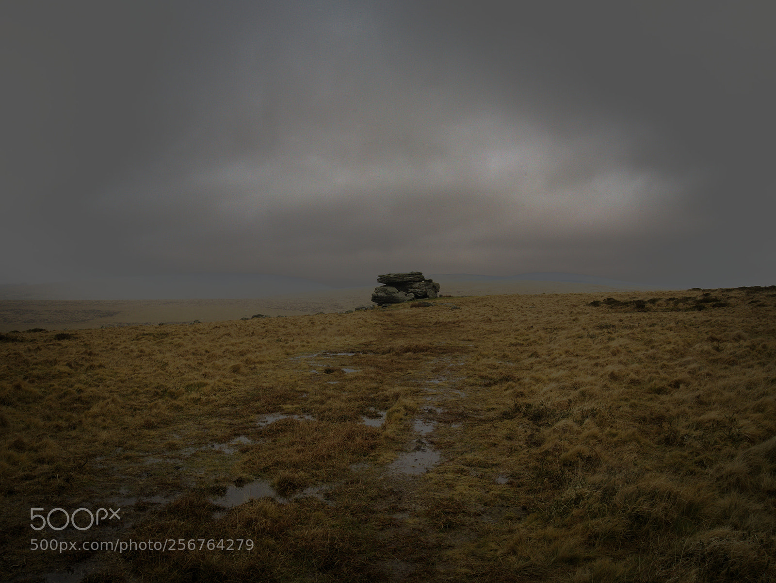 Olympus OM-D E-M10 sample photo. On the moor photography