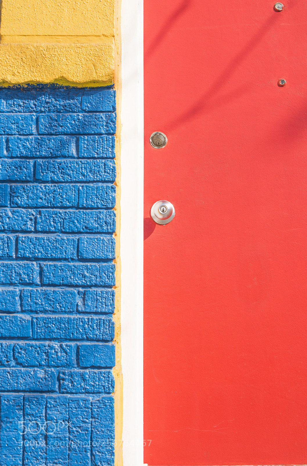Nikon D810 sample photo. Primary colors photography