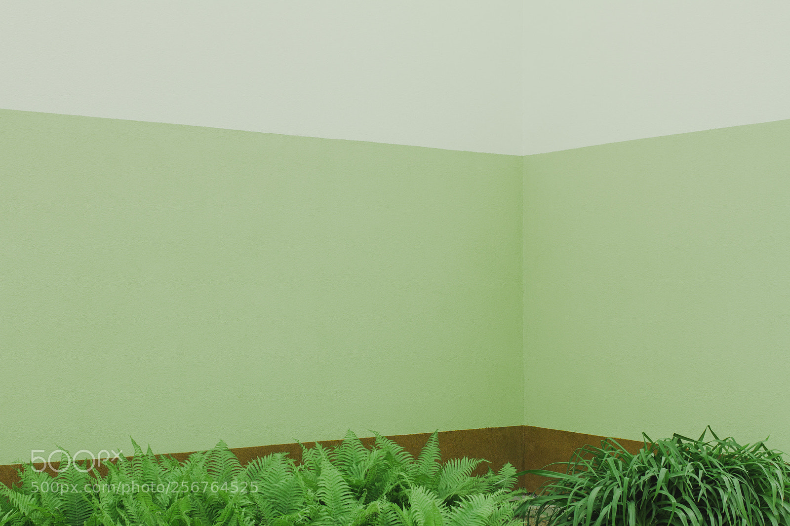 Canon EOS 7D sample photo. Green photography