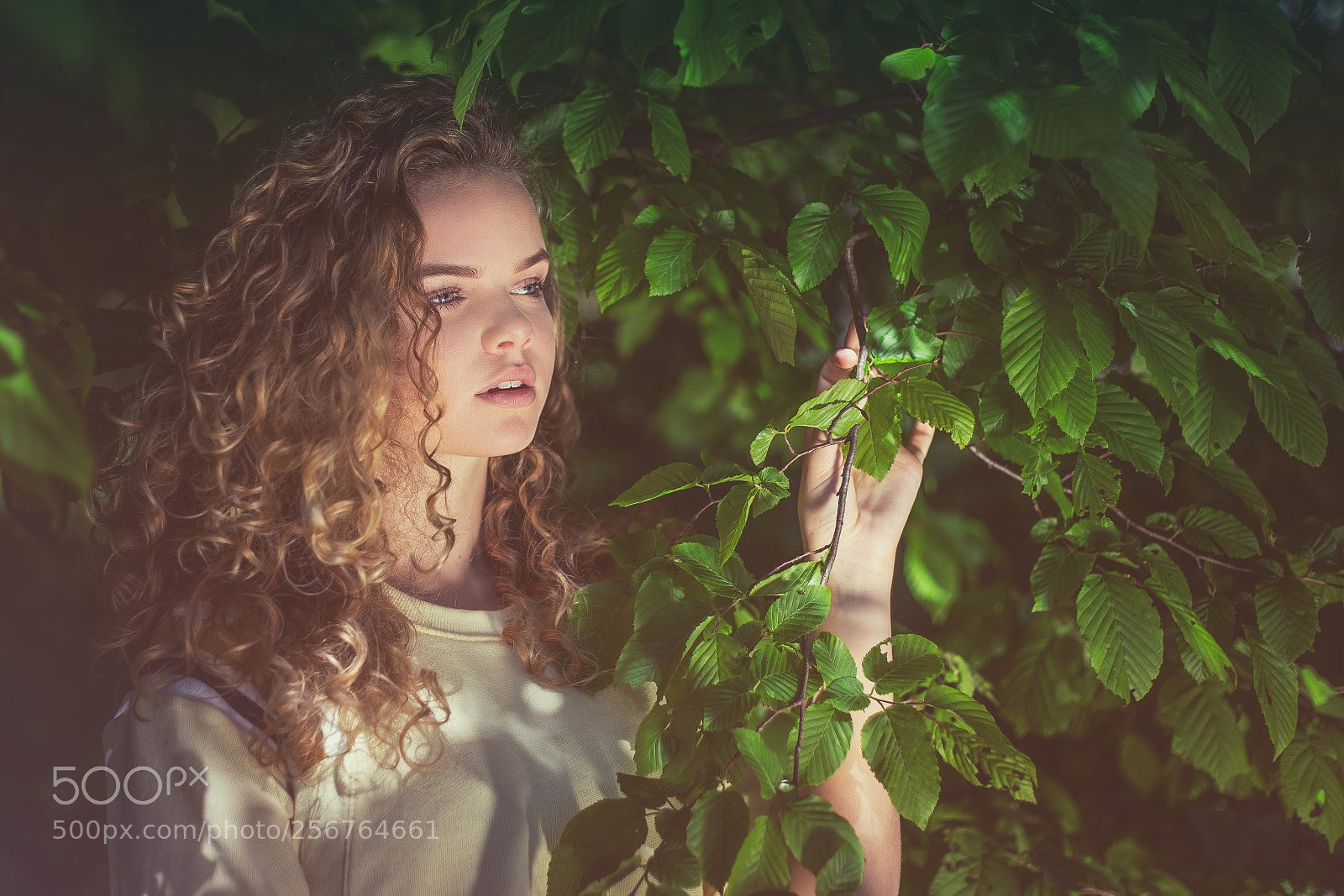 Canon EOS 6D sample photo. Beauty by nature i photography