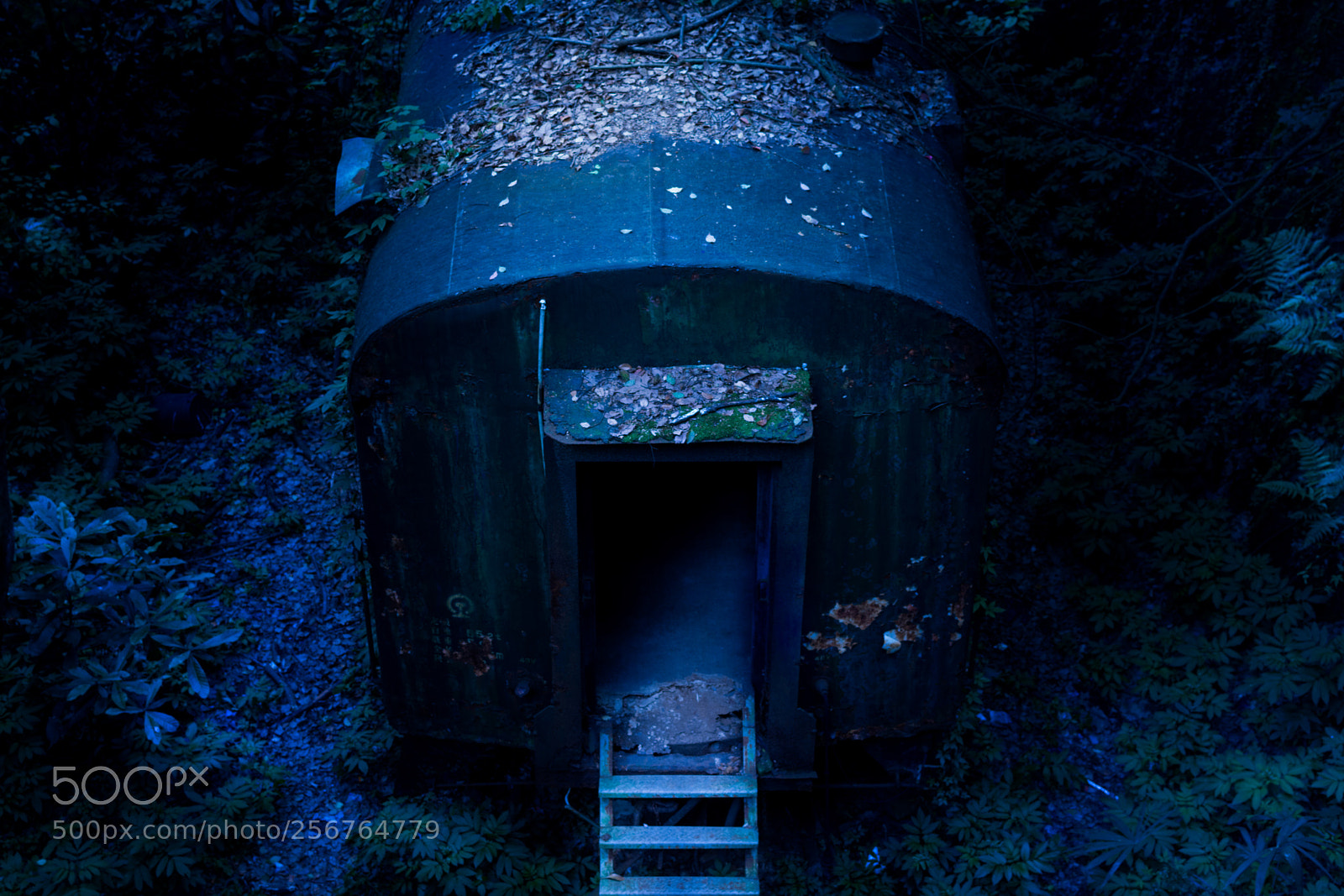 Nikon D7200 sample photo. Train under moonlight photography