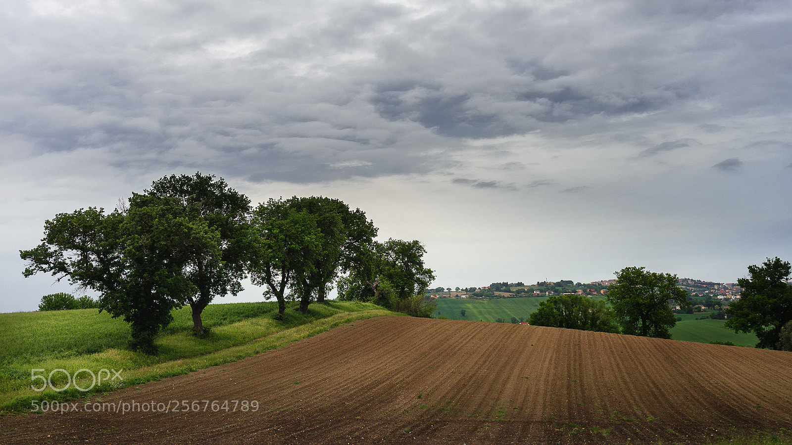Sony a7 sample photo. Just before the rain photography
