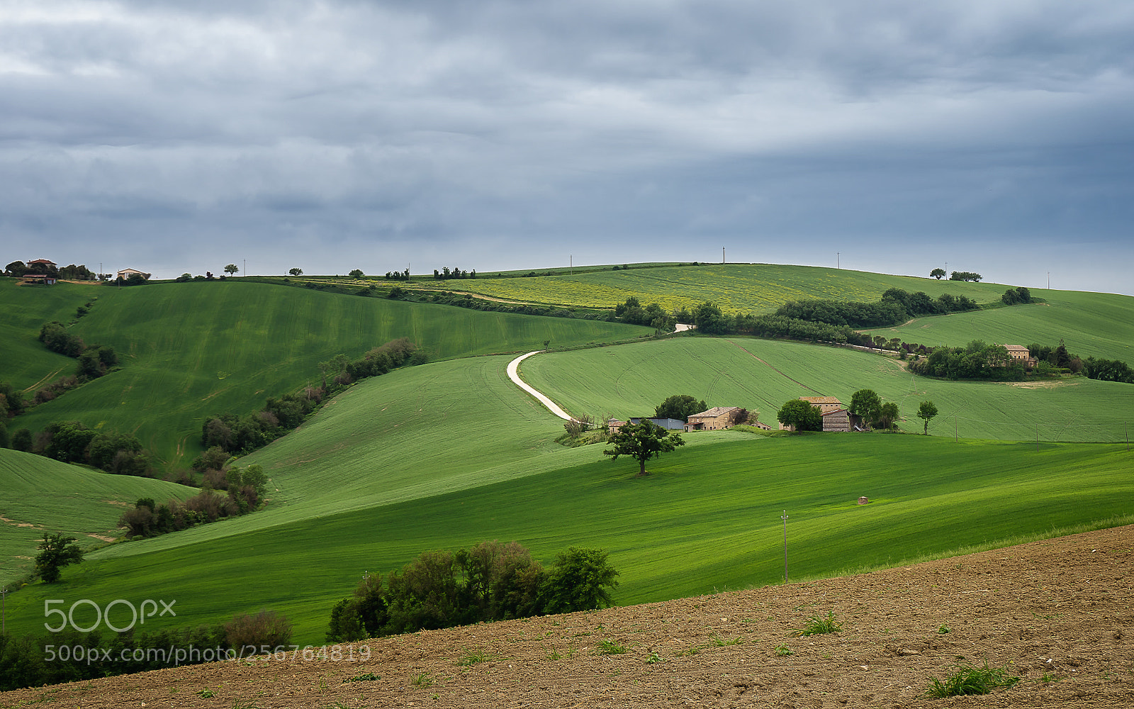 Sony a7 sample photo. Just before the rain photography