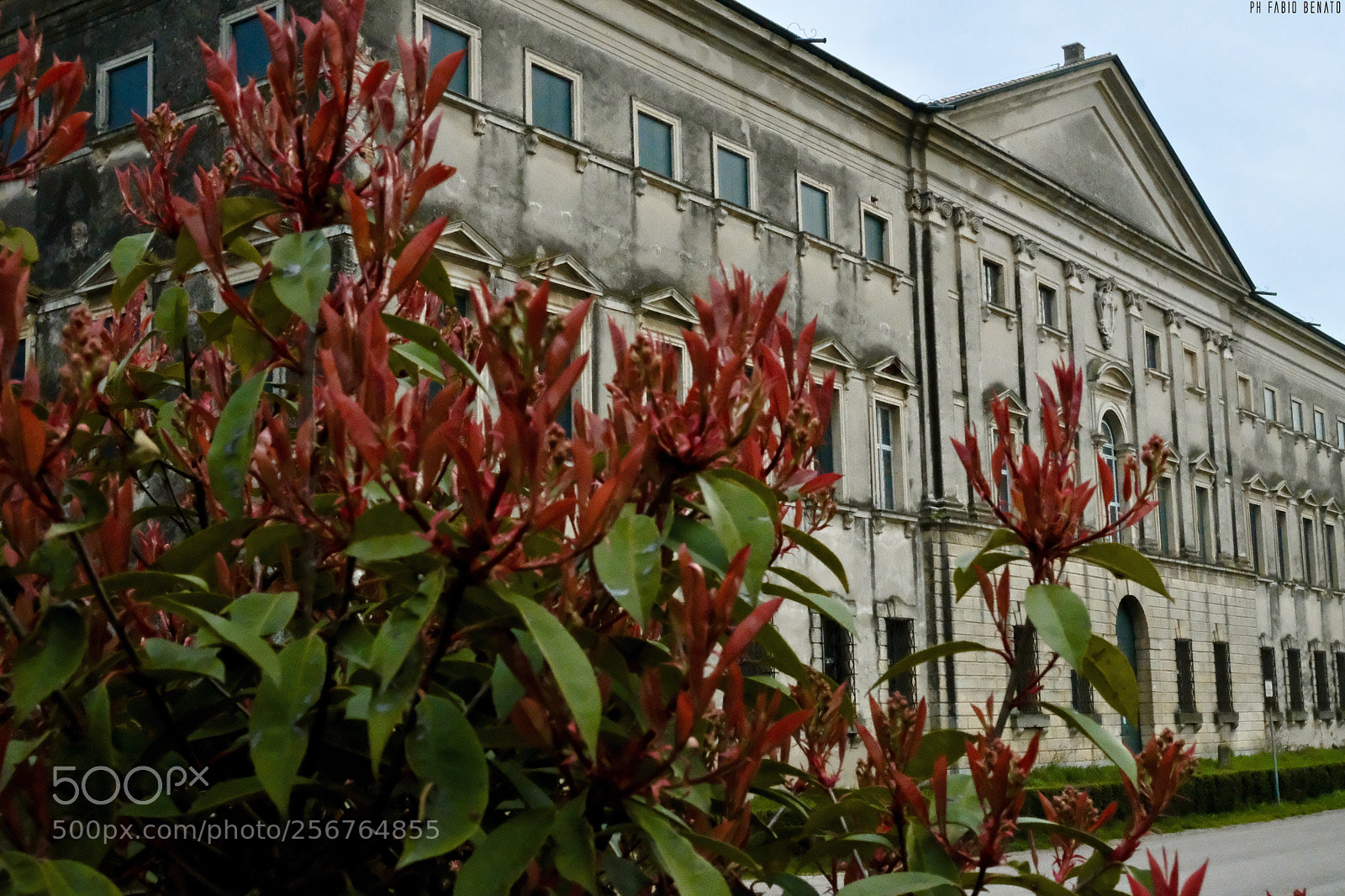 Fujifilm X-T2 sample photo. Photo exhibition scatti di photography