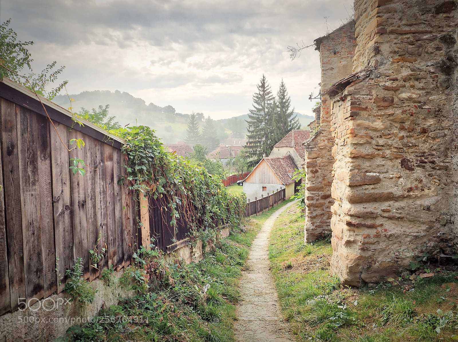Olympus OM-D E-M1 sample photo. Transylvanian path photography