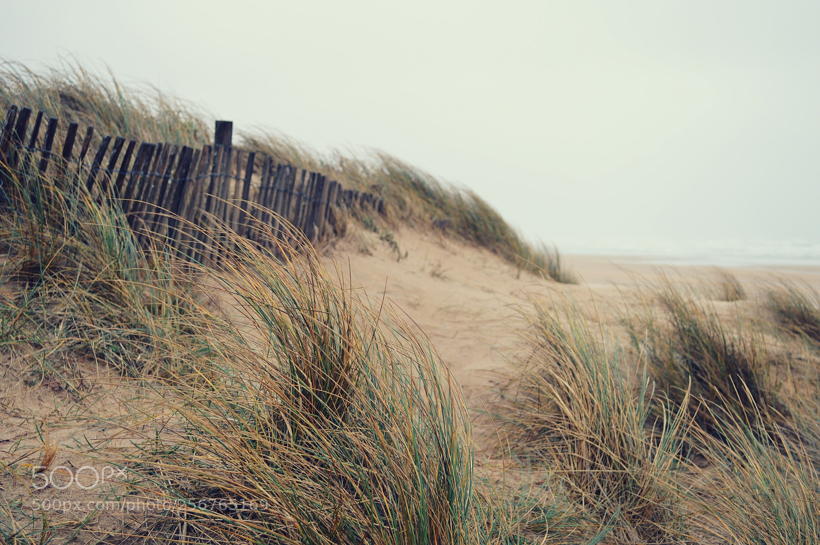 Nikon D3200 sample photo. Sand & sea photography