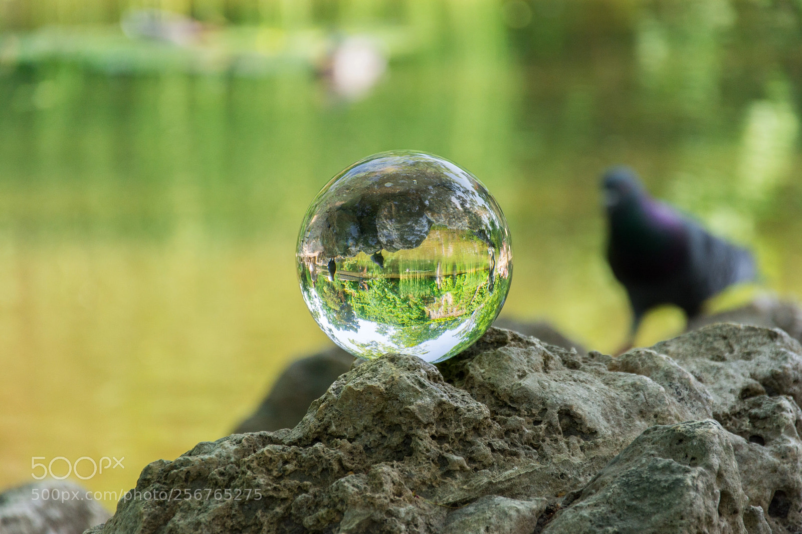Nikon D7100 sample photo. Crystal ball sphere photography