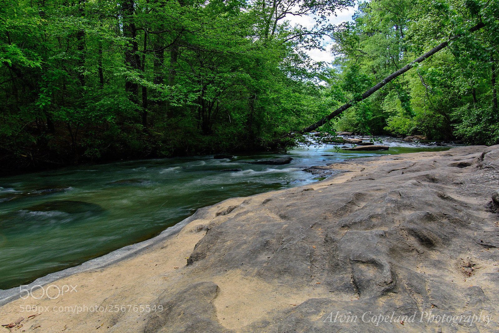 Nikon D7200 sample photo. Along the creek photography
