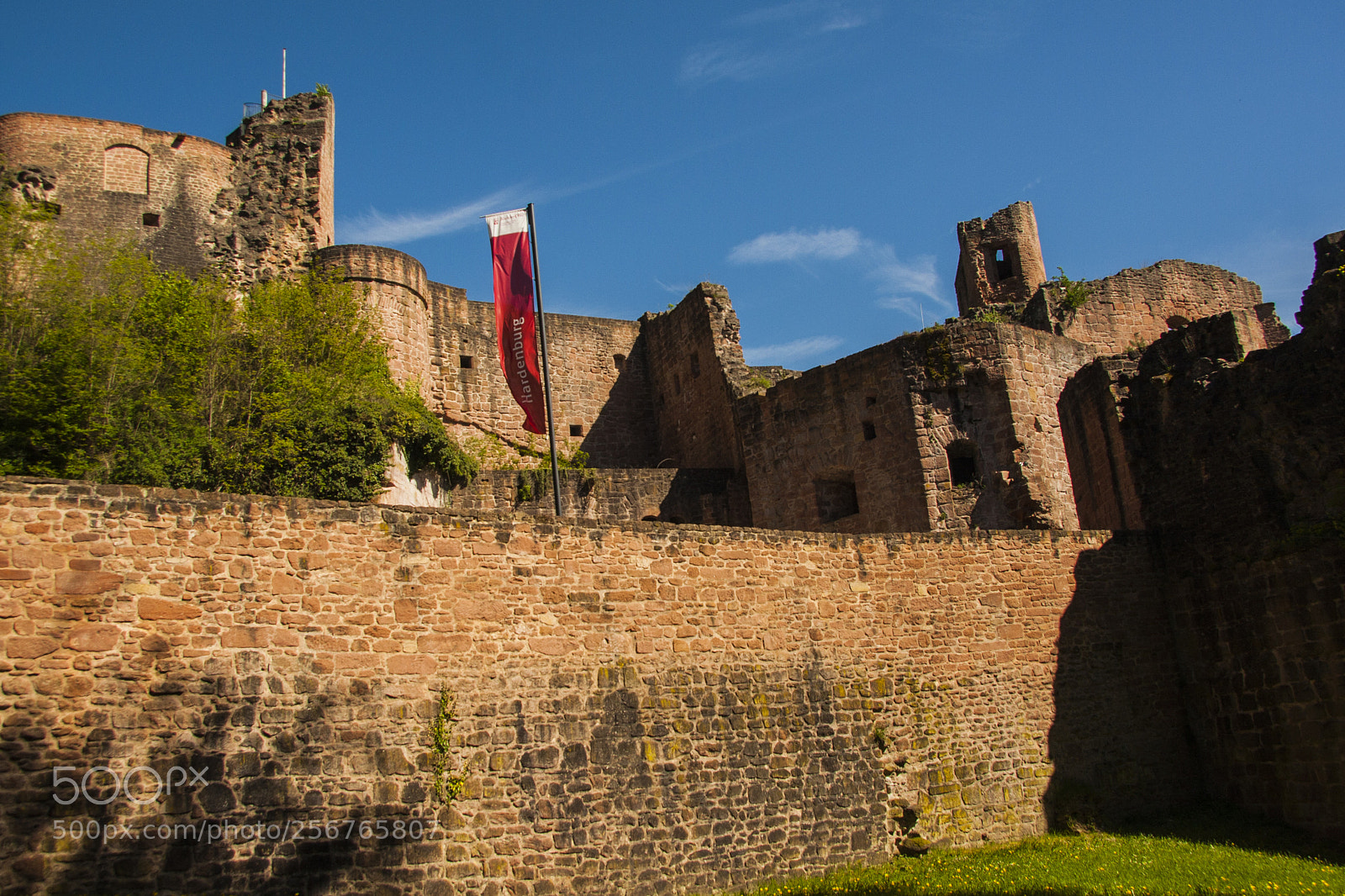 Canon EOS 40D sample photo. Hardenburg photography