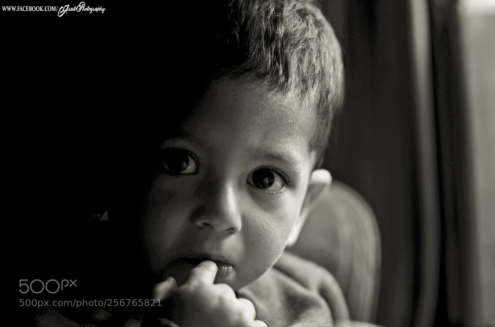 Nikon D7000 sample photo. Shots by aq photography