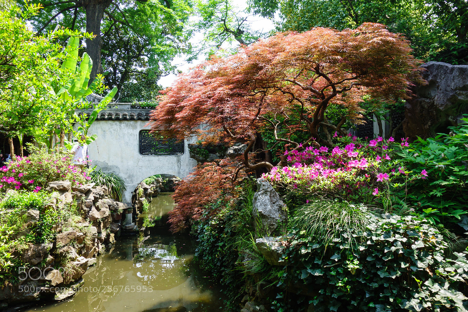 Sony Cyber-shot DSC-RX100 sample photo. Flowers, trees, water photography