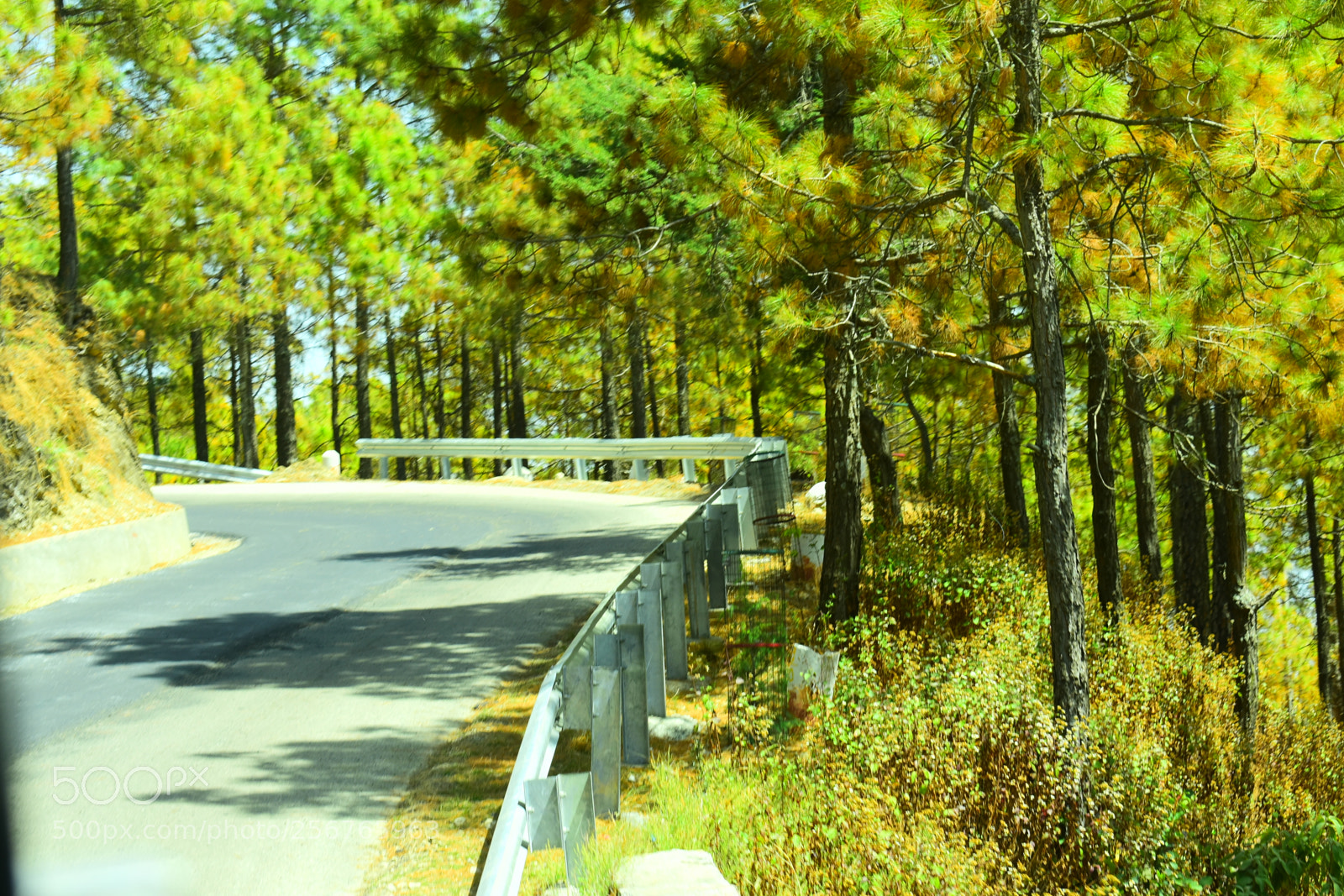 Nikon D3400 sample photo. Picturesque photography