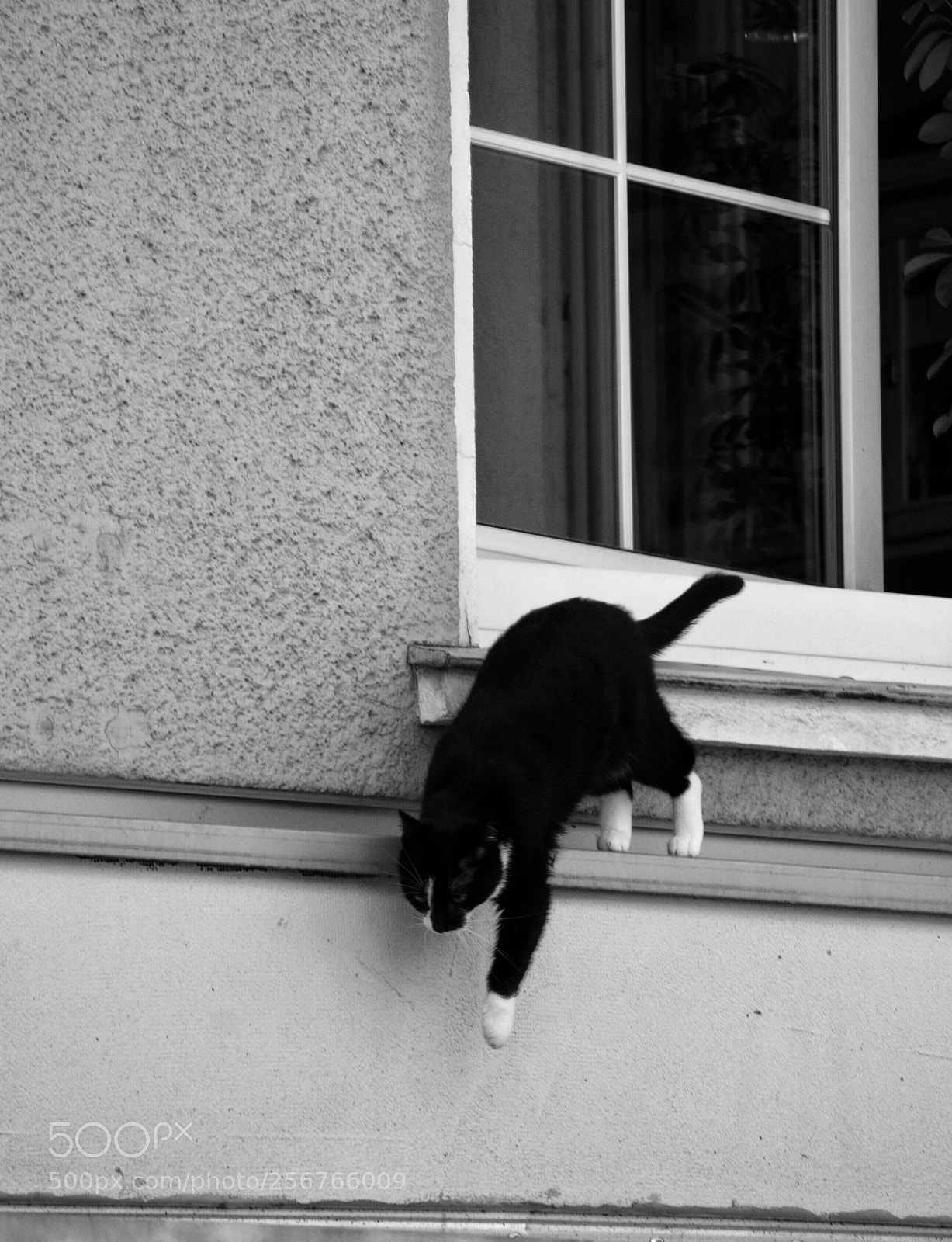 Nikon D3000 sample photo. Untitled photography