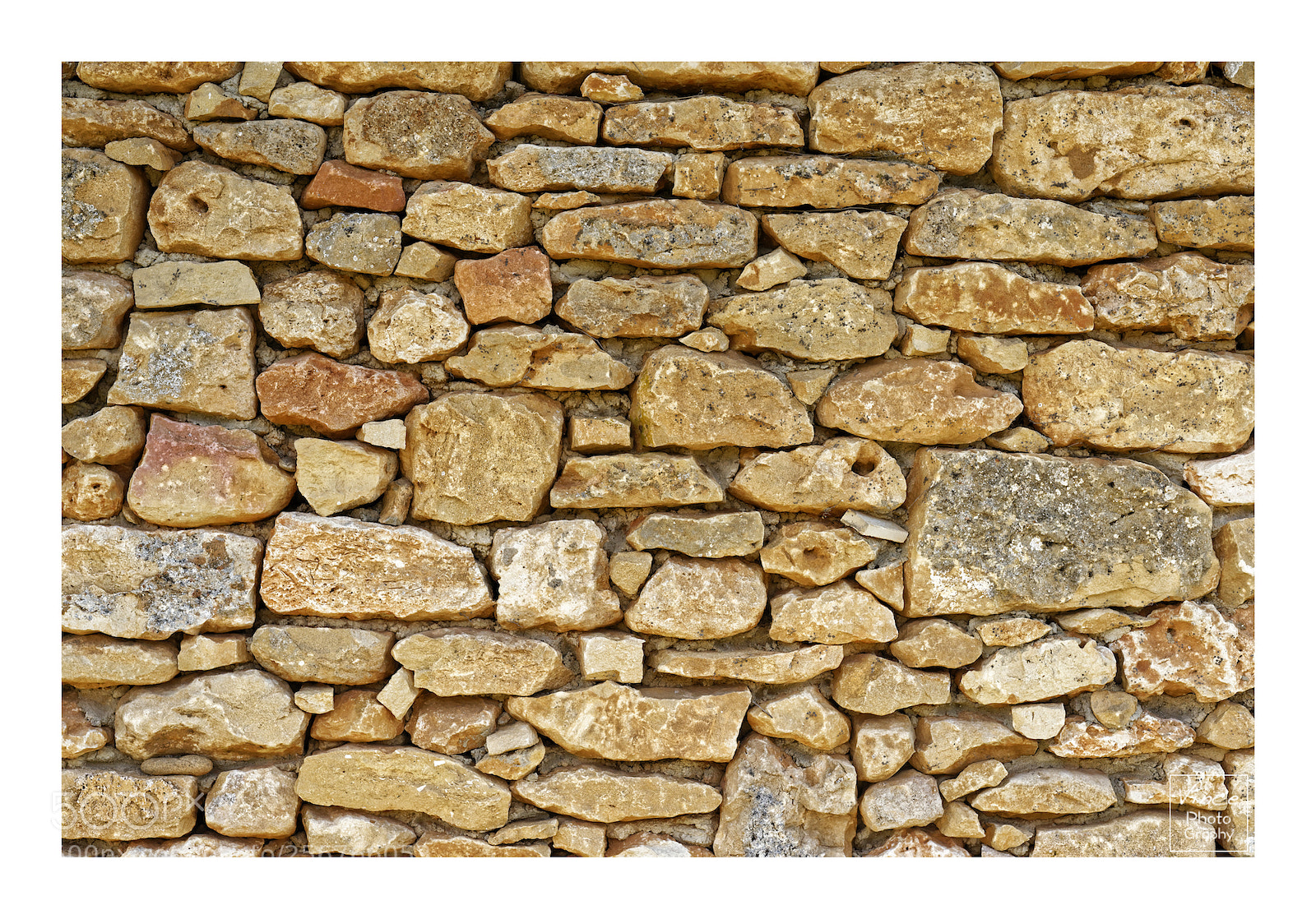 Nikon D800 sample photo. The wall photography