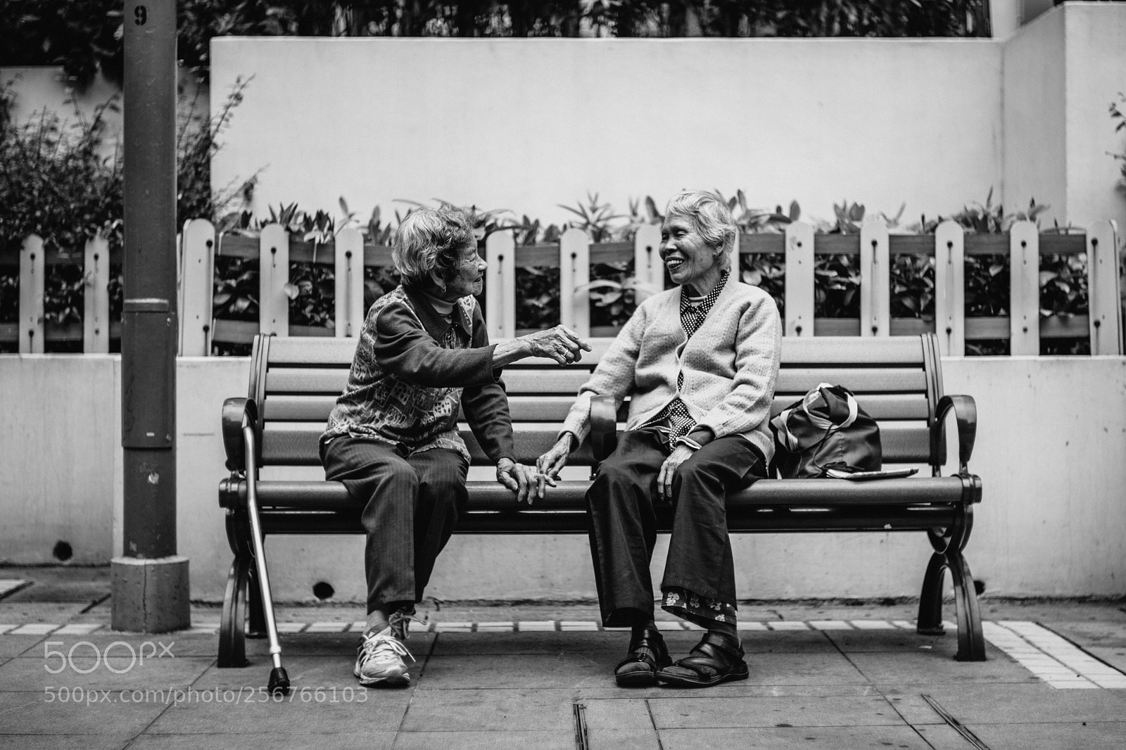 Leica M (Typ 240) sample photo. Gossip girls photography
