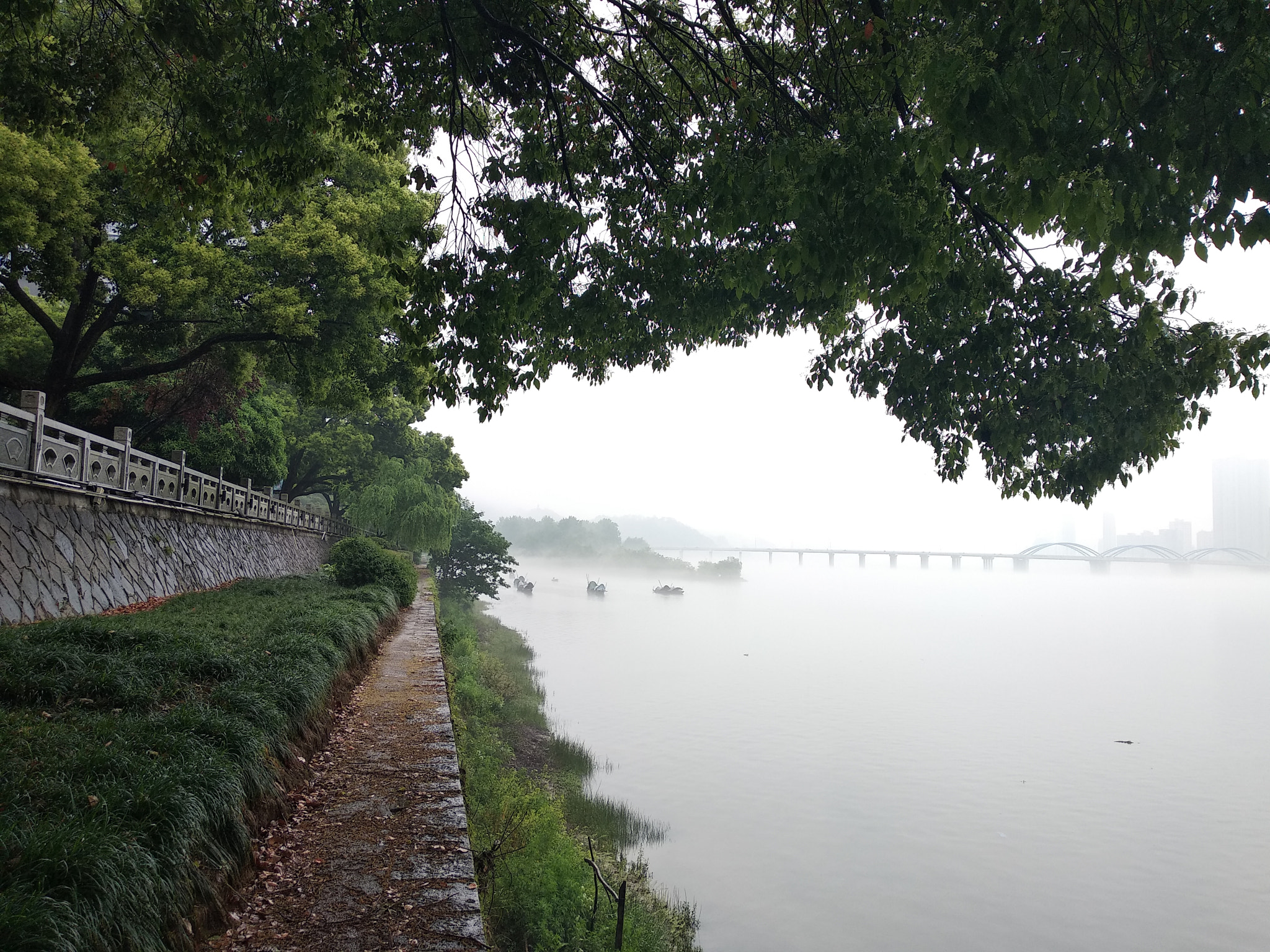 Xiaomi Redmi 5 Plus sample photo