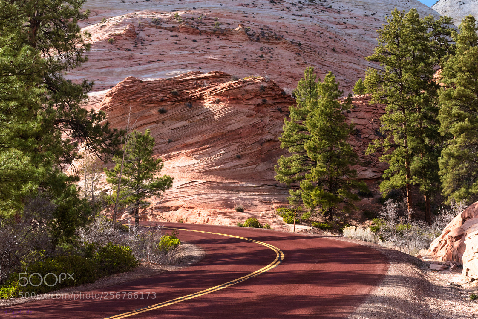 Nikon D5600 sample photo. Textures of zion 3351 photography